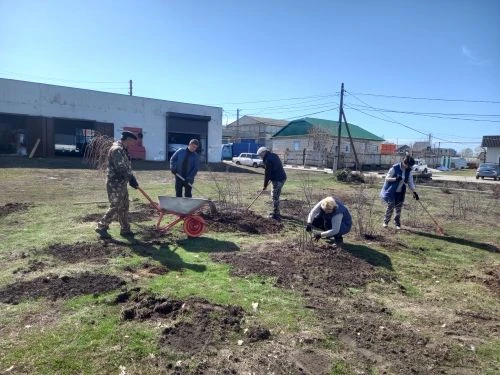 Благоустройство одно из векторов развития государственной ветеринарной  службы района.
