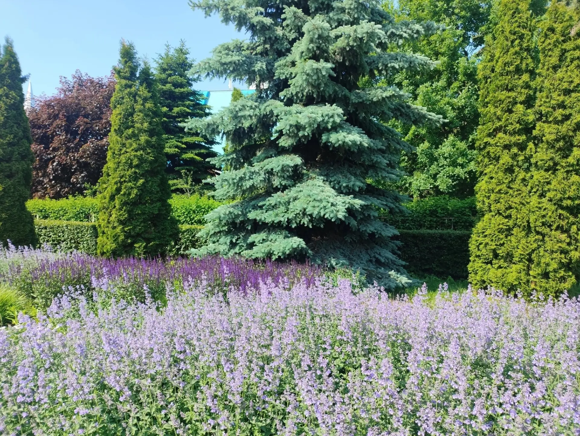 В Приморском парке Победы успешно завершена посадка летников 🌸

В рамках выполнения адресной програ