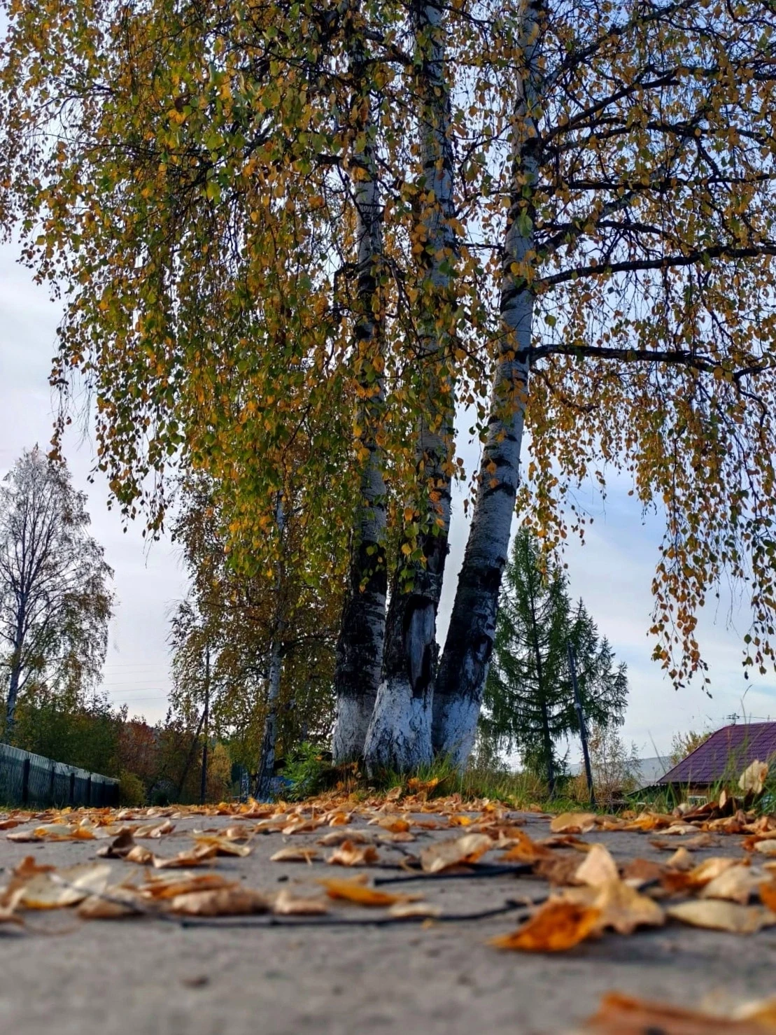 Доброе утро, любимый округ 🍂