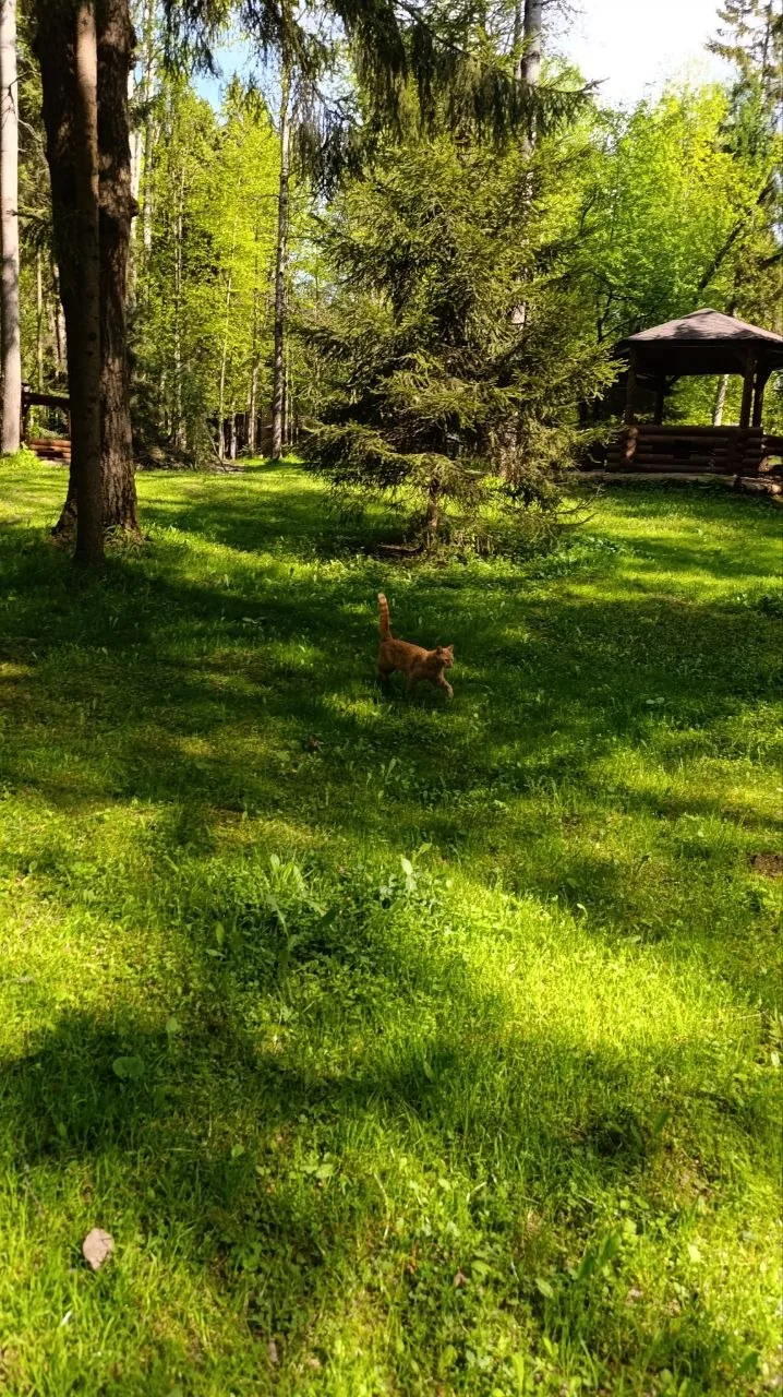 ☀️ Доброе утро друзья! ☀️

⚡️ Подобрали для Вас 🔥 Самые популярные даты на сегодня!

🎖 Номера клас