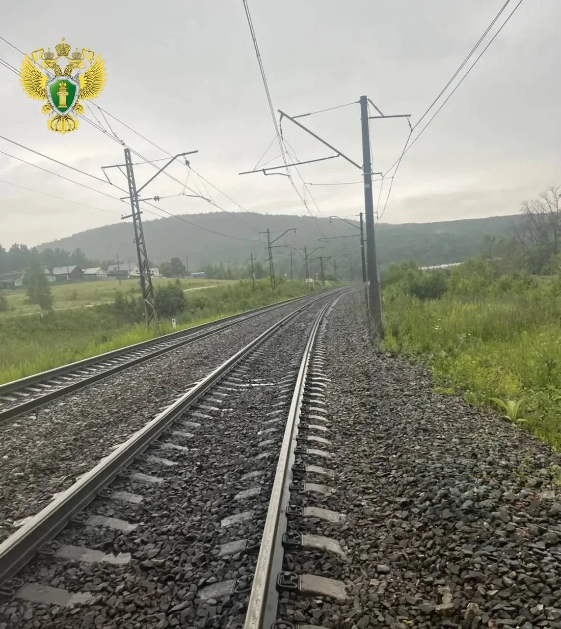 😨❗️Грузовой поезд насмерть сбил женщину под Челябинском