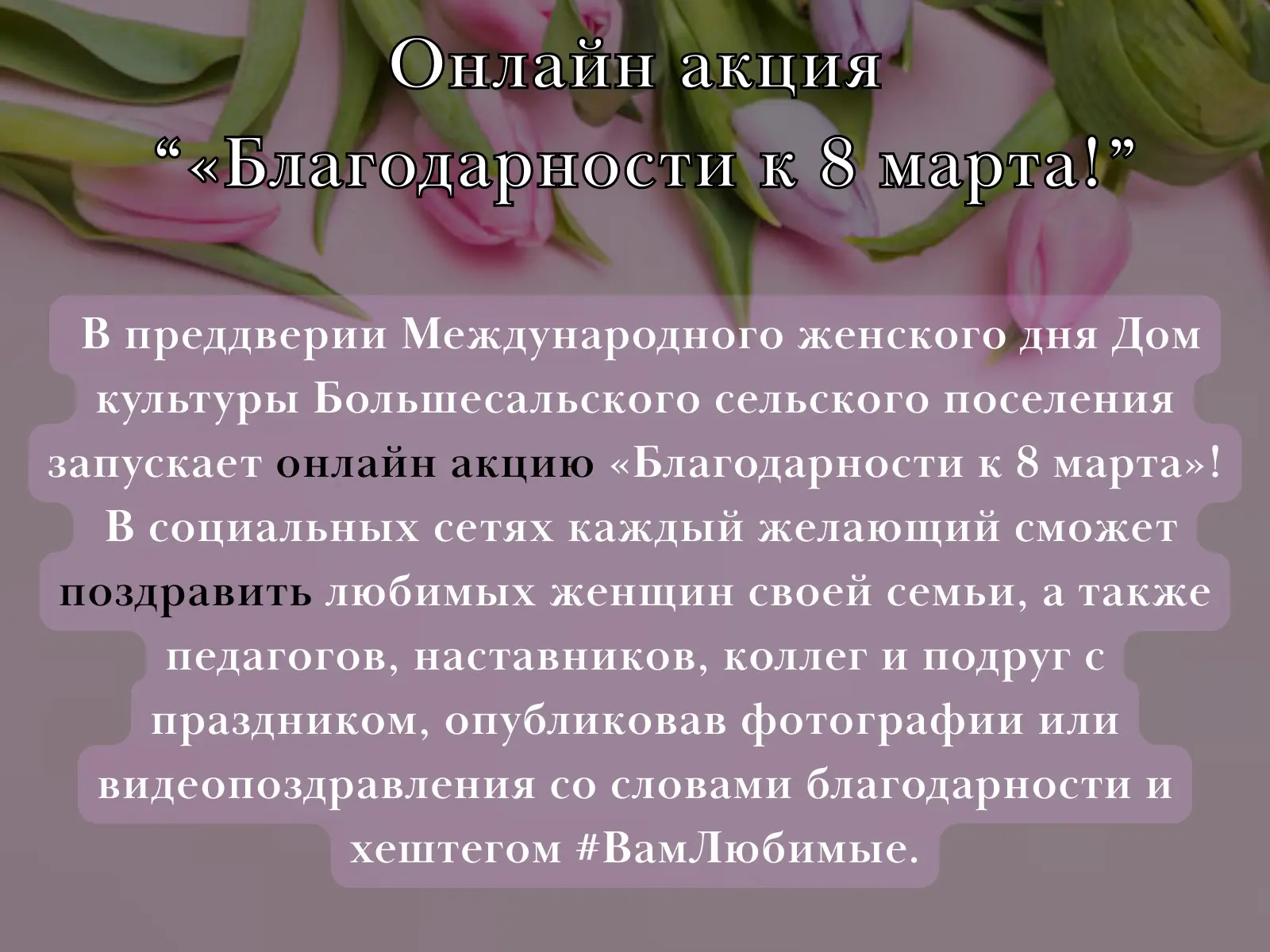 Медиа публикации