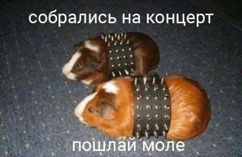 мы? 😎