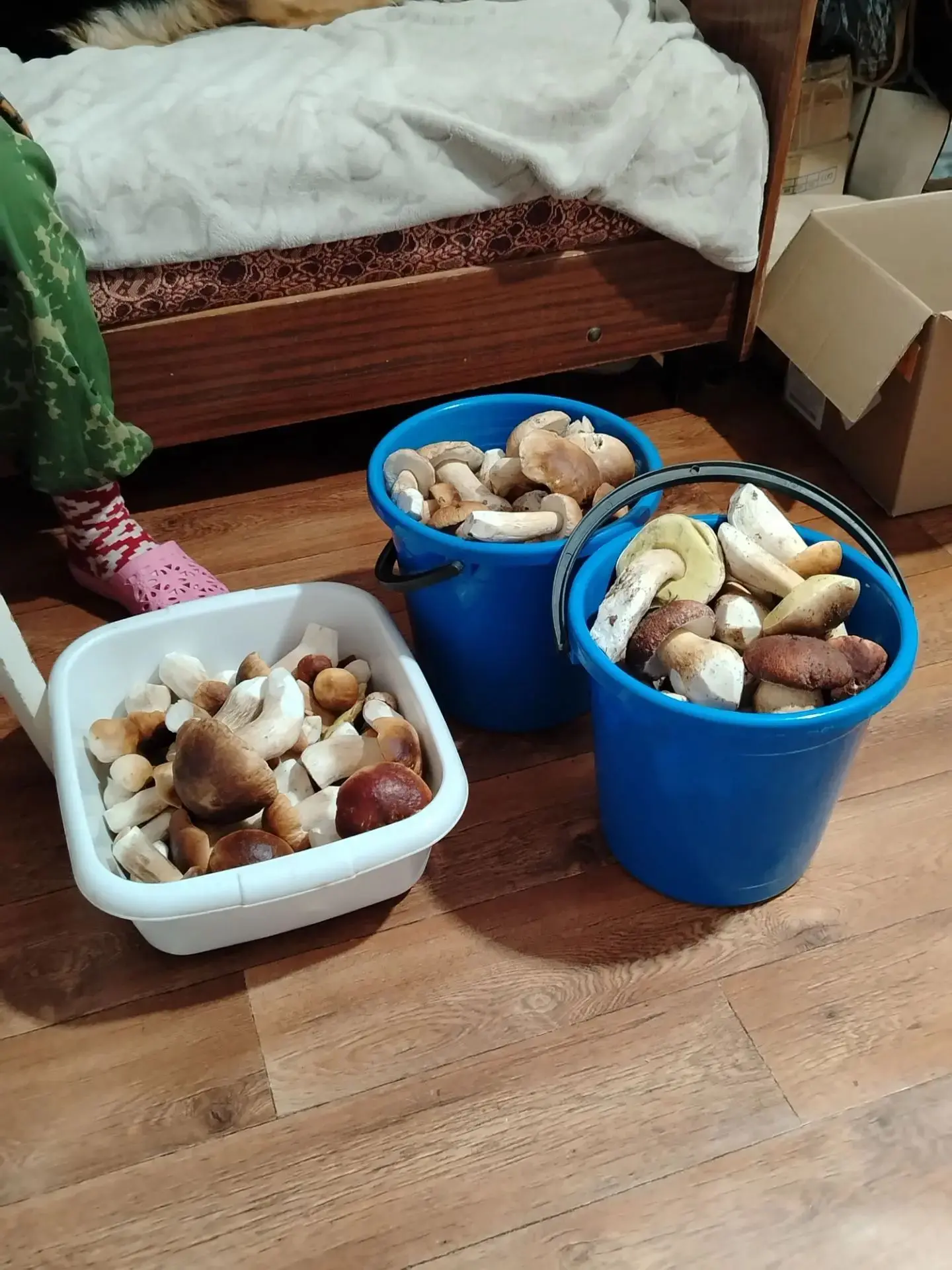 Павловский район, воронежской области