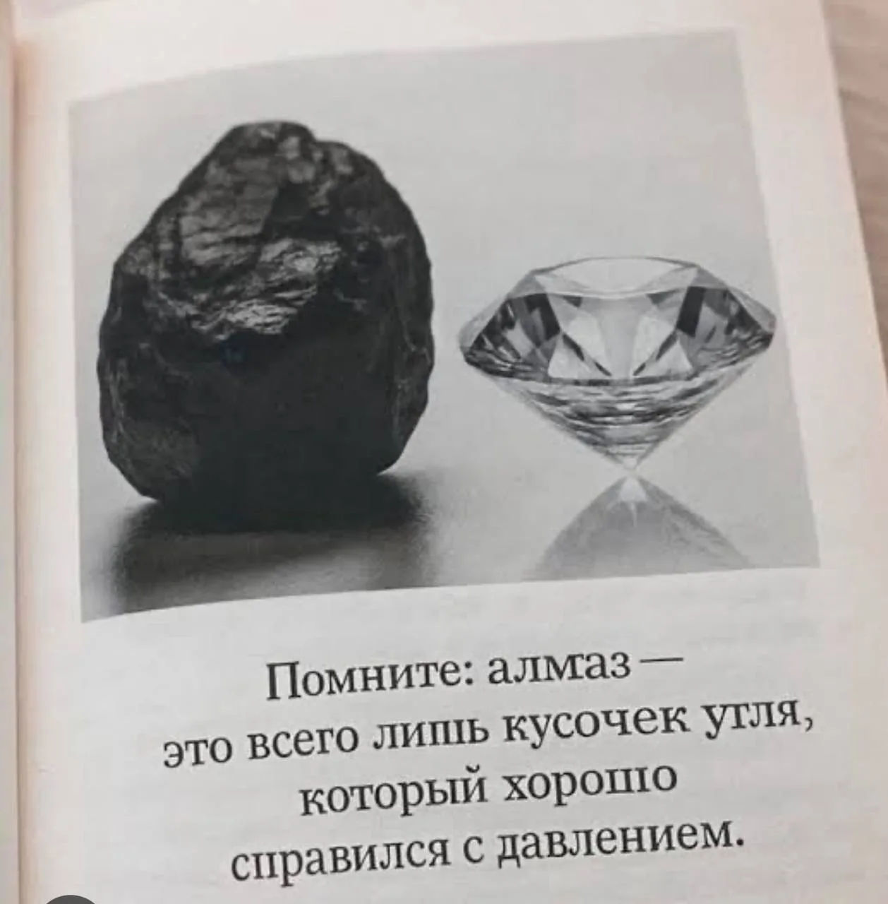 #мотивация_дня