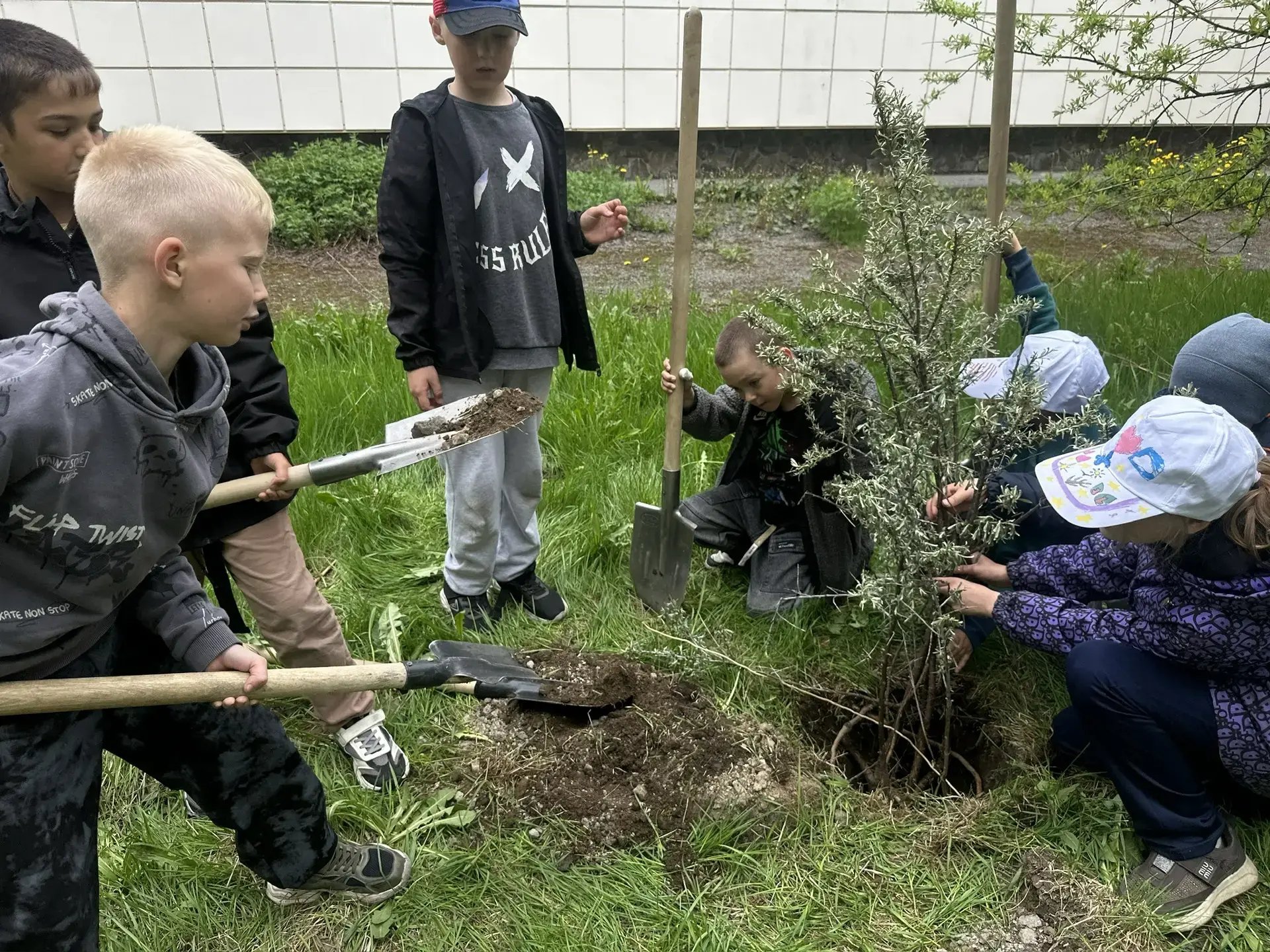 🌳 В нашем пришкольном лагере появился «Сад памяти»!
Лето в школе — это не только веселые игры и вст