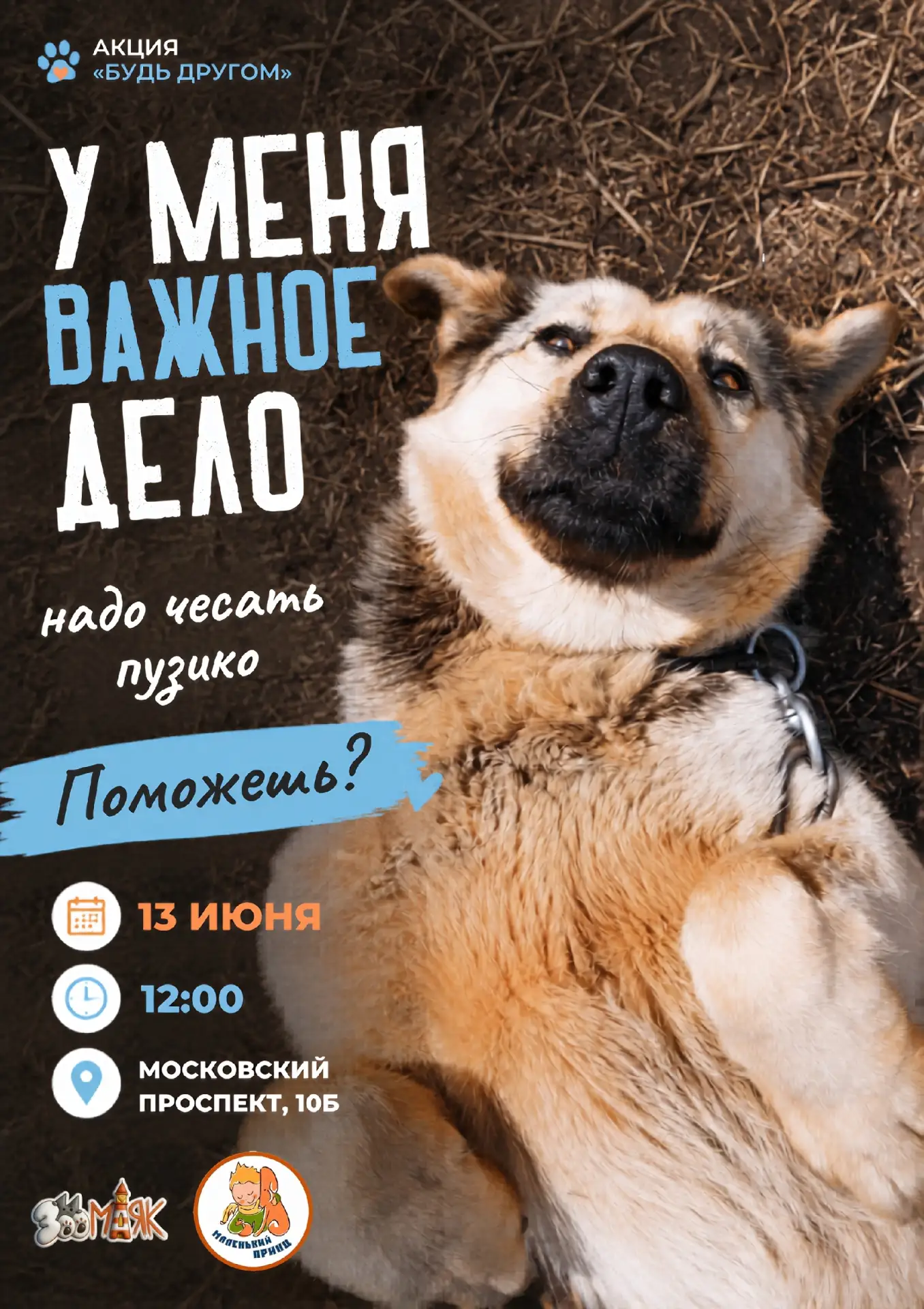 🐶 Приглашаем на прогулку с самыми добрыми, весёлыми и общительными собаками! Приходите на акцию «Бу
