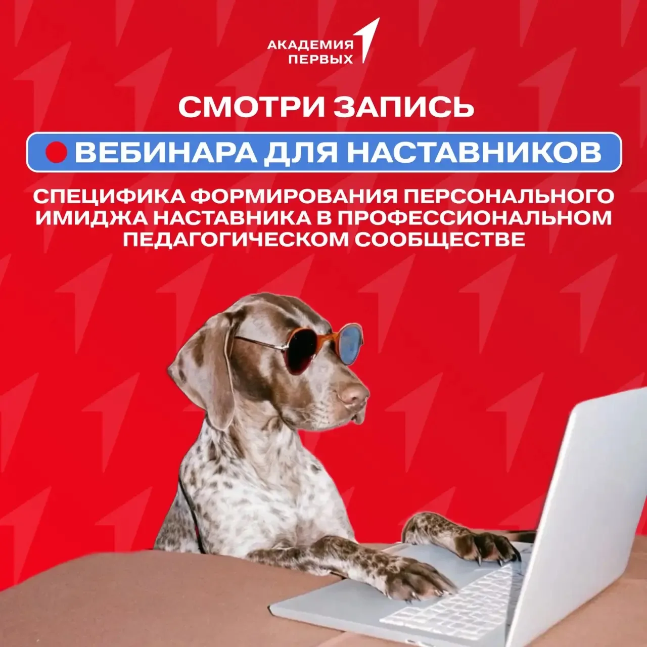 Не успели на вебинар? Самое интересное – в записи!🎥

Запись развивающего вебинара Академии Первых «