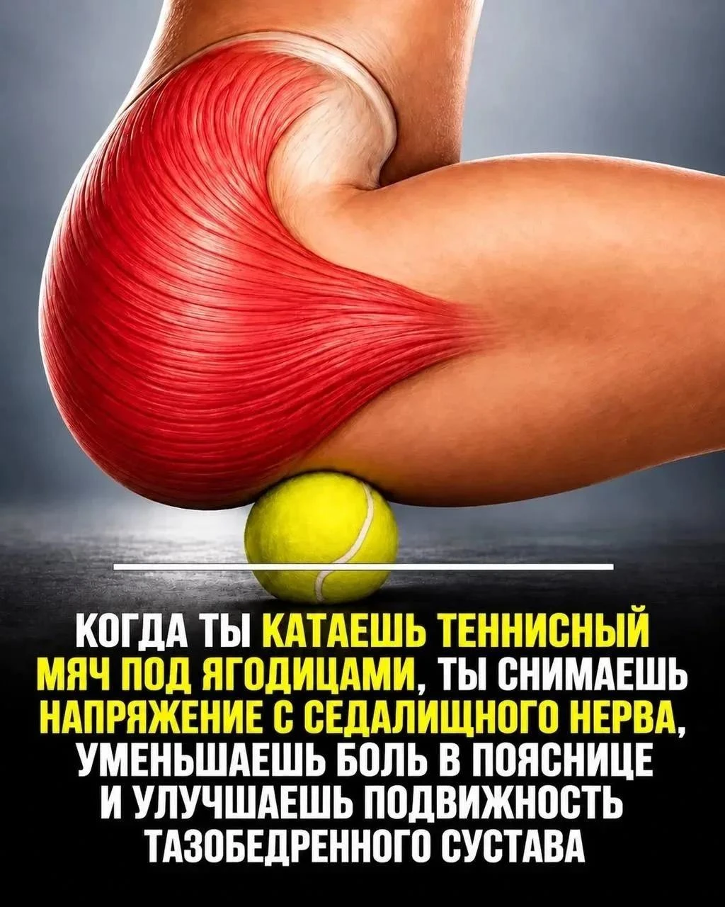 Что будет, если катать теннисный мяч под ягодицами: эффект, о котором мало кто знает 🤫🎾