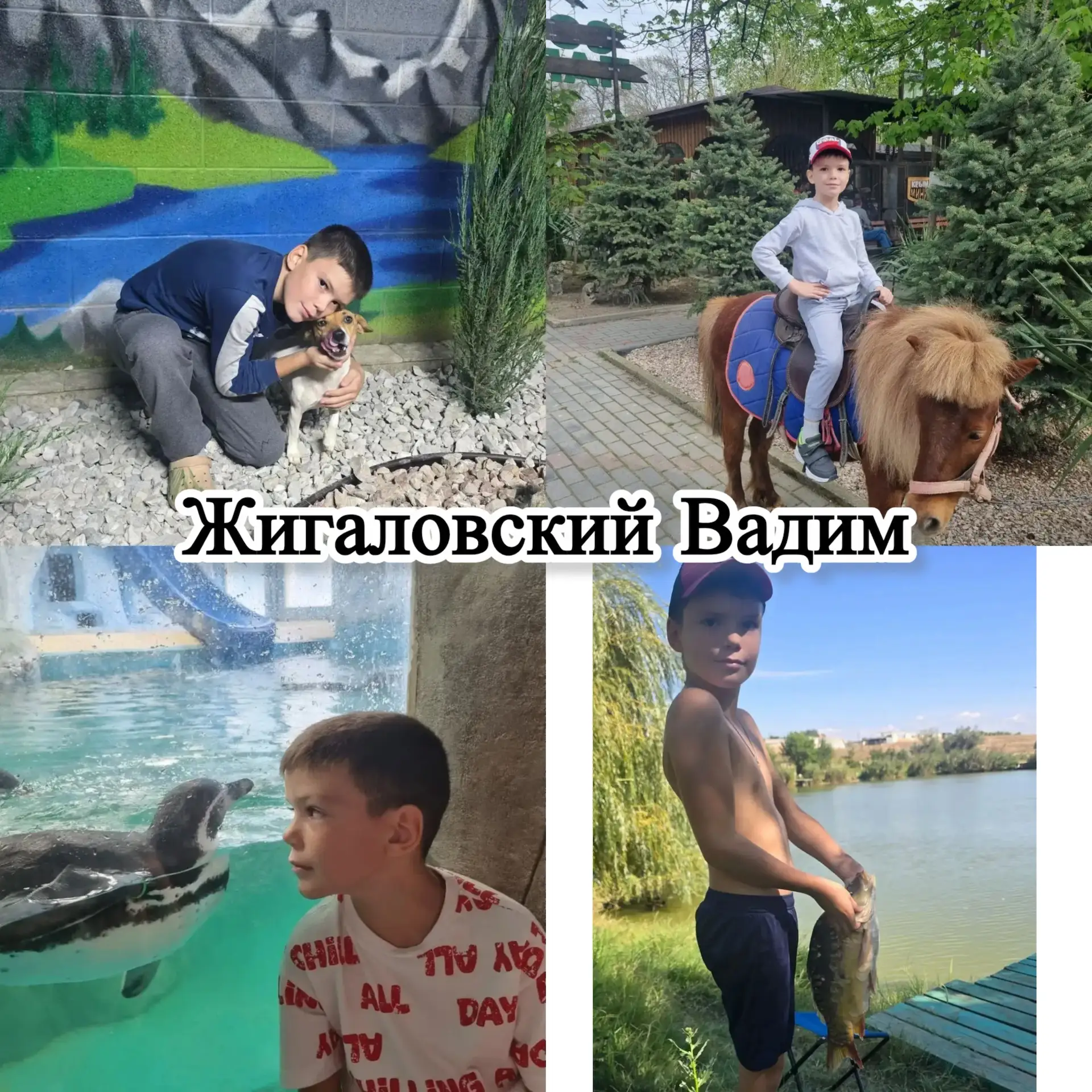 Участники онлайн-акции «Усатый нянь»🐈🐶