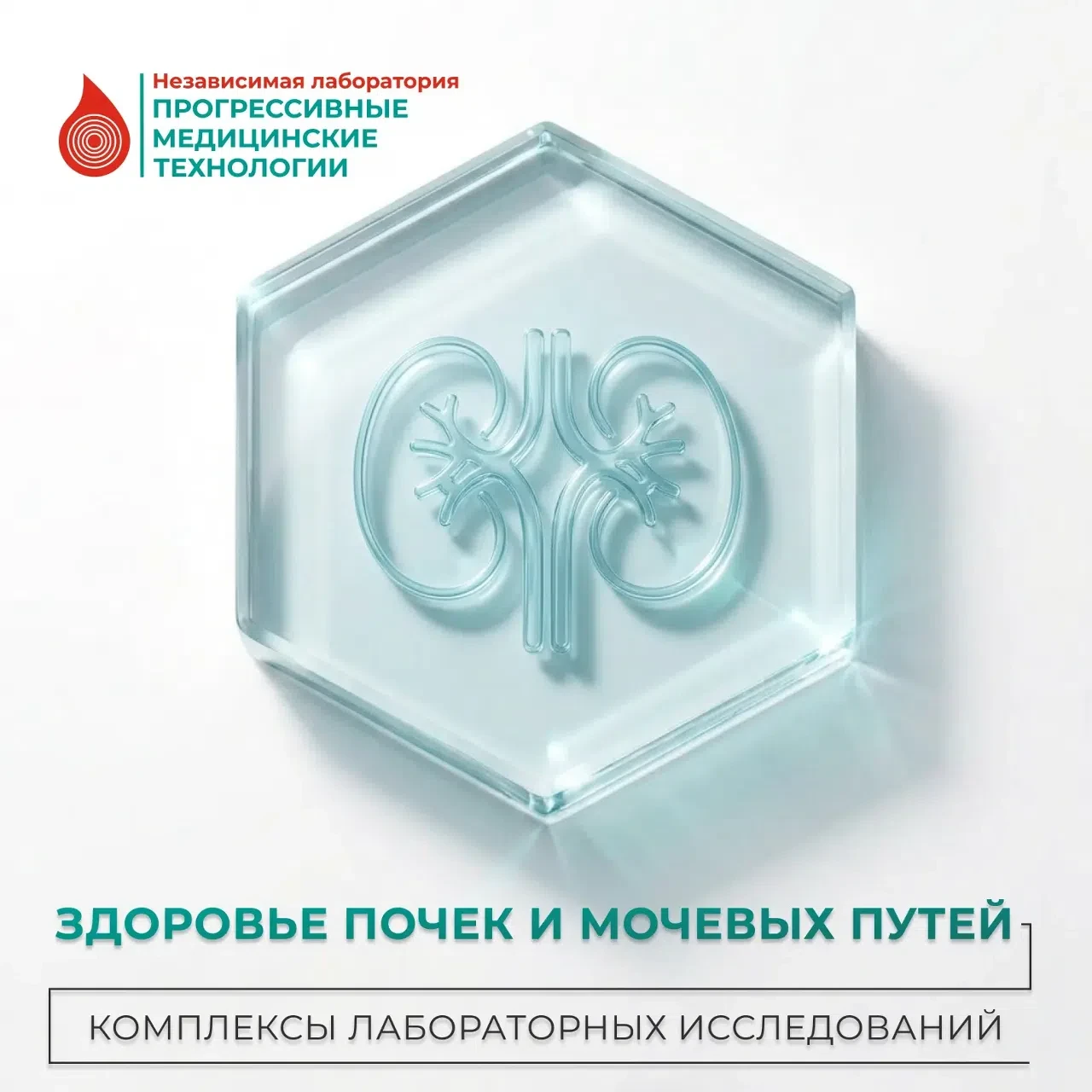 🩺 Почки играют важную физиологическую роль в нашем организме. Их основная работа — это непрерывная 