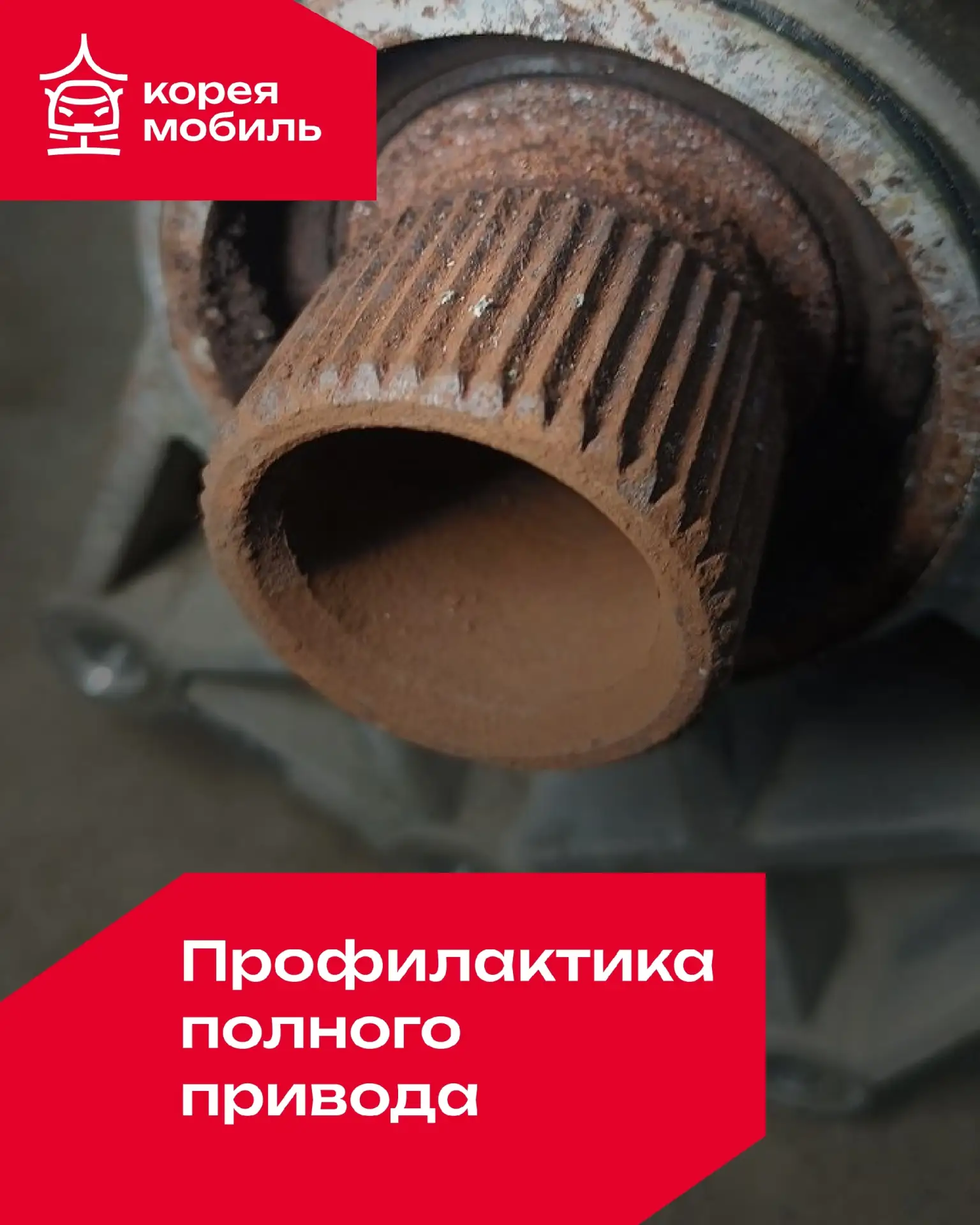 Хотите уверенно преодолевать любые препятствия на своем 4×4? 💪 Кореямобиль поможет!