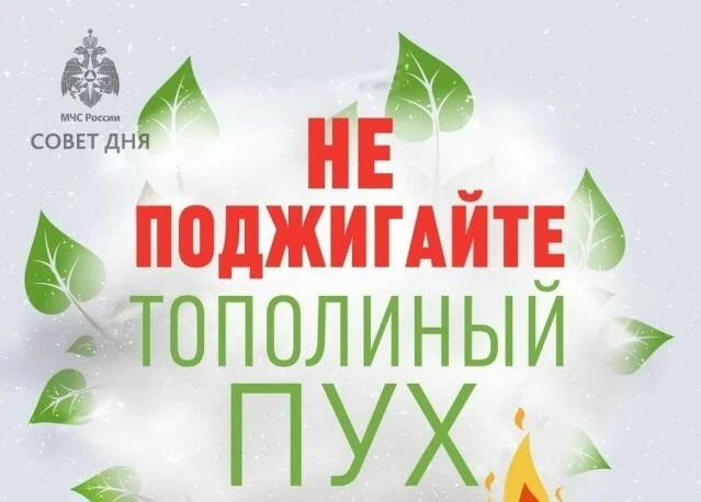 ❗️Не поджигайте тополиный пух❗️