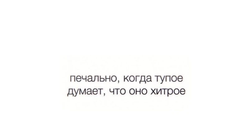 Реально 👀