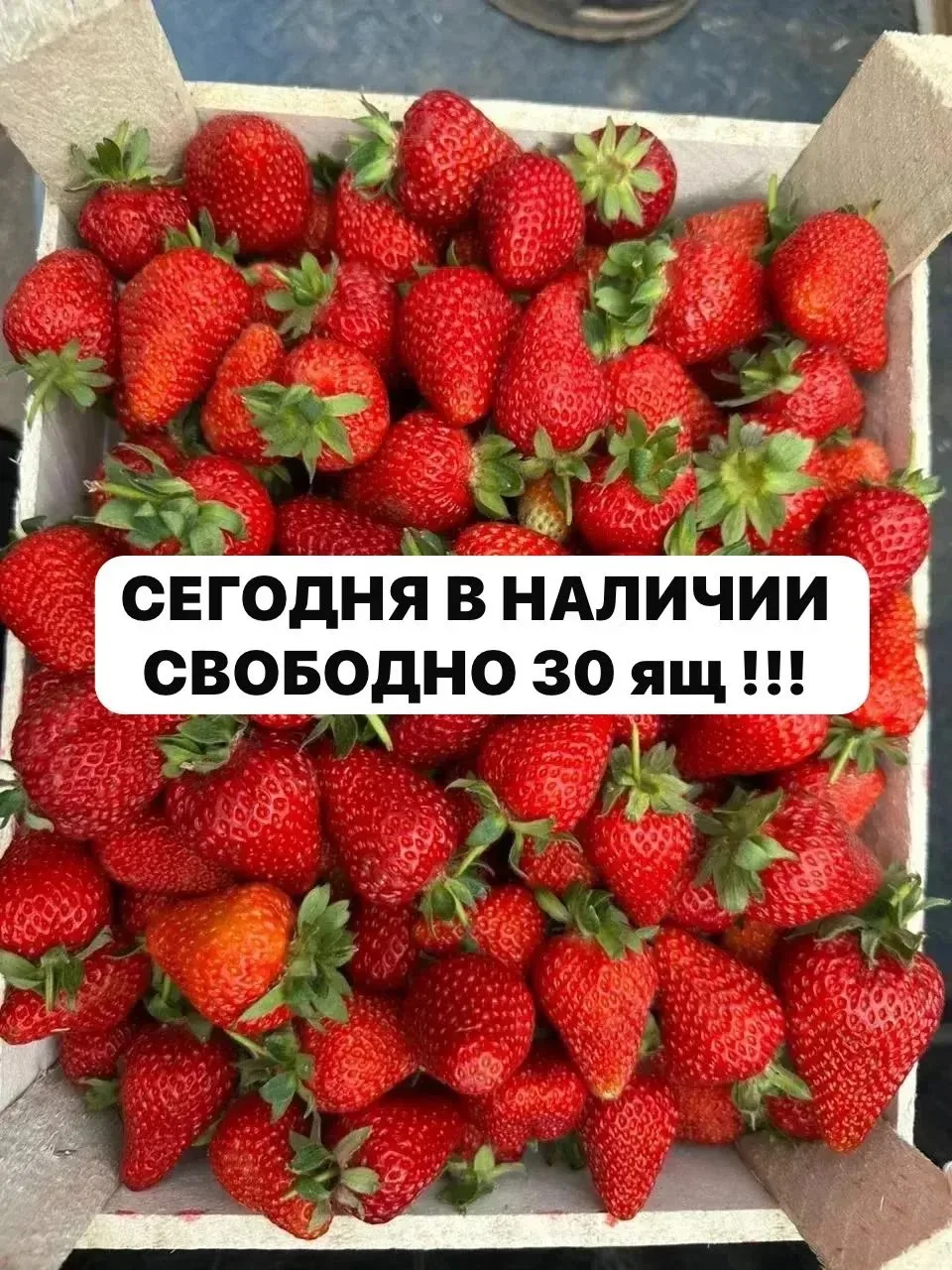 ЗАБРОНИРОВАТЬ* 89831934593
