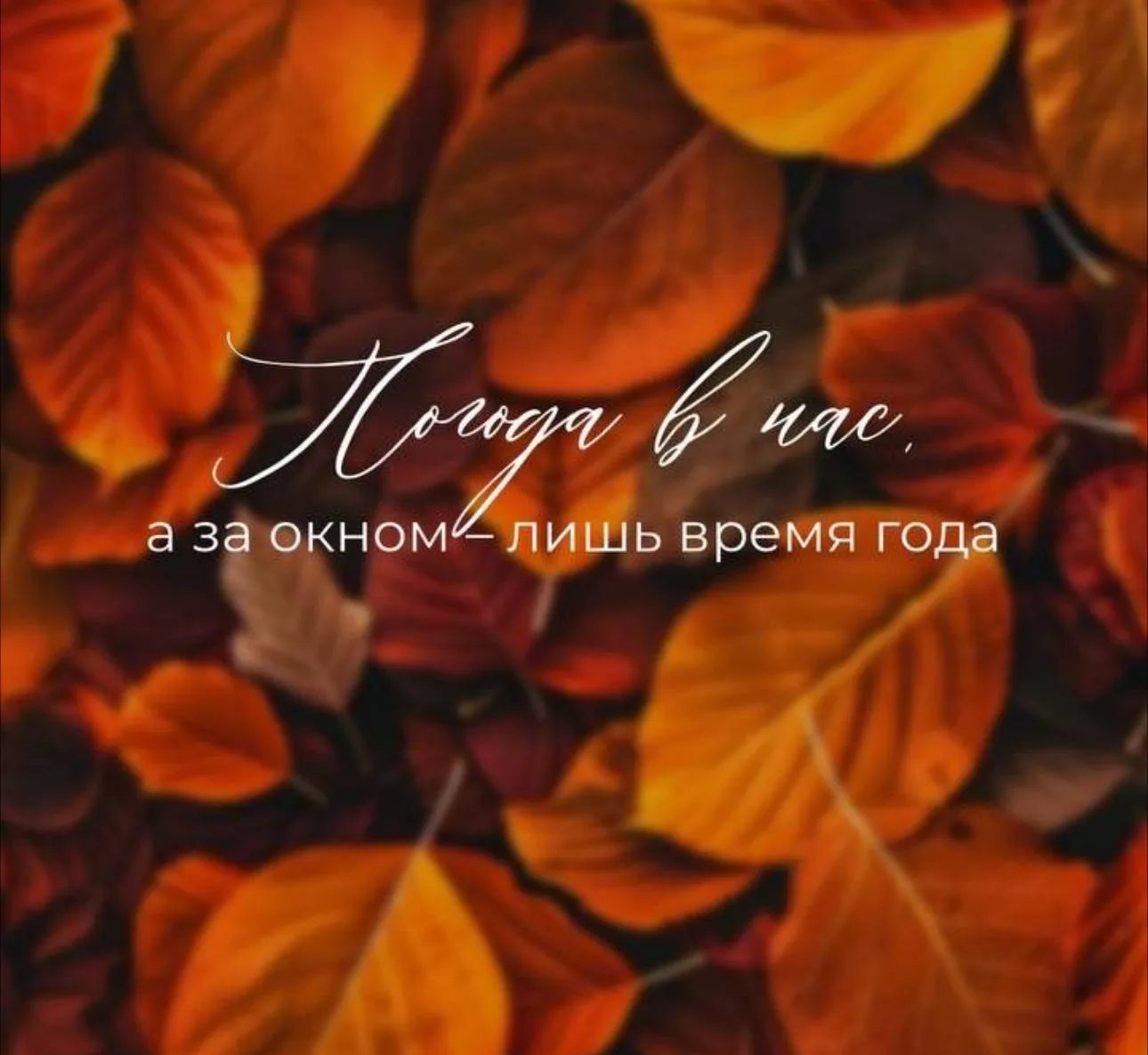 Октябрь пришёл..