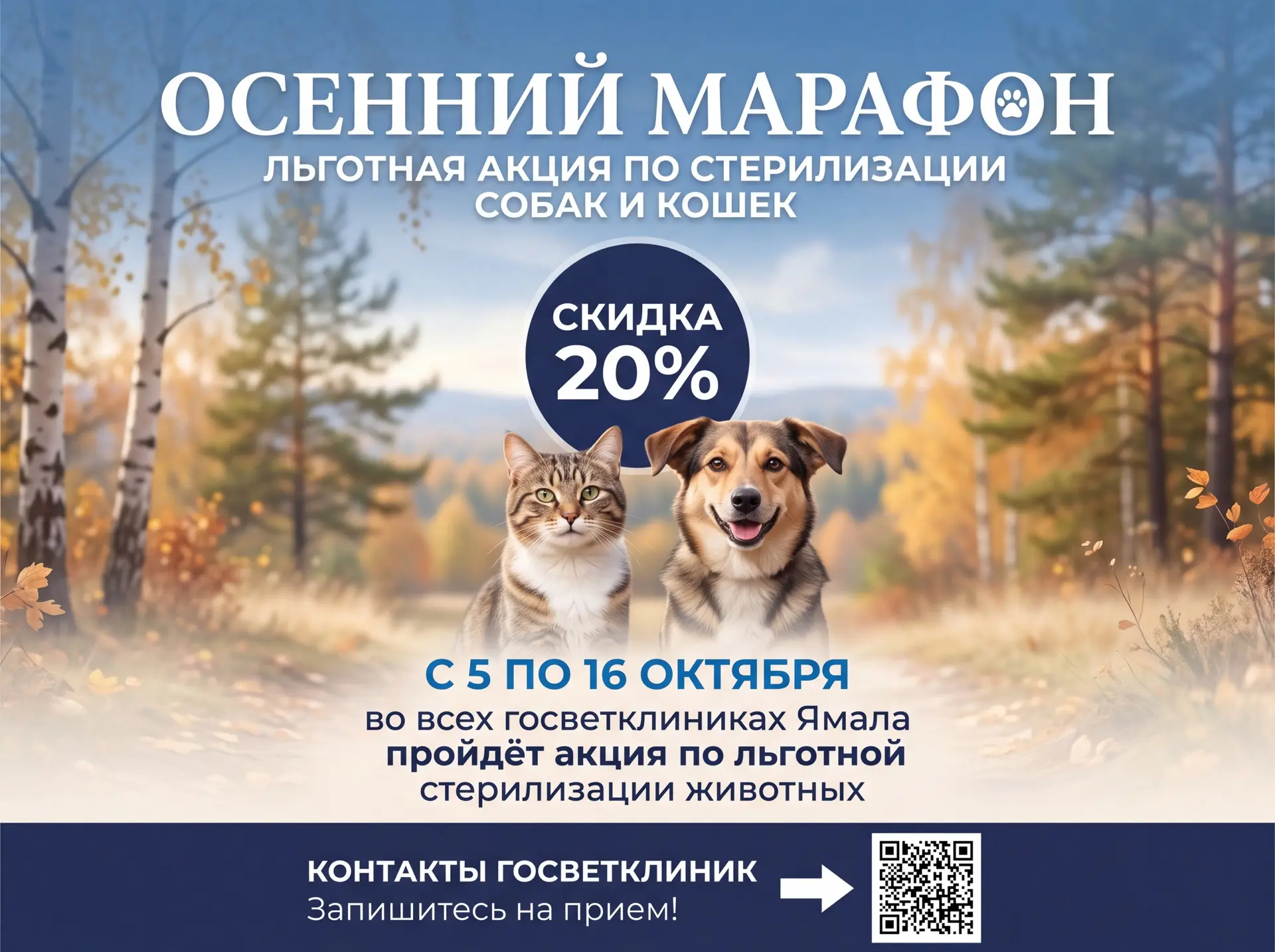 Старт льготной стерилизации