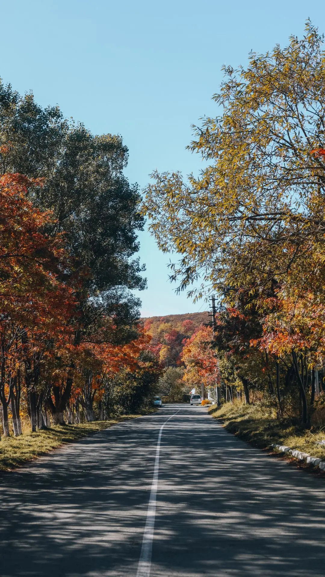 🍁Правда