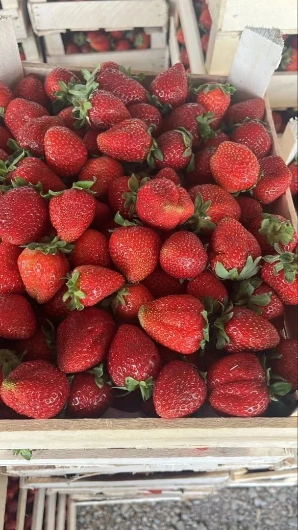 Свежая, вкусная ягода  в