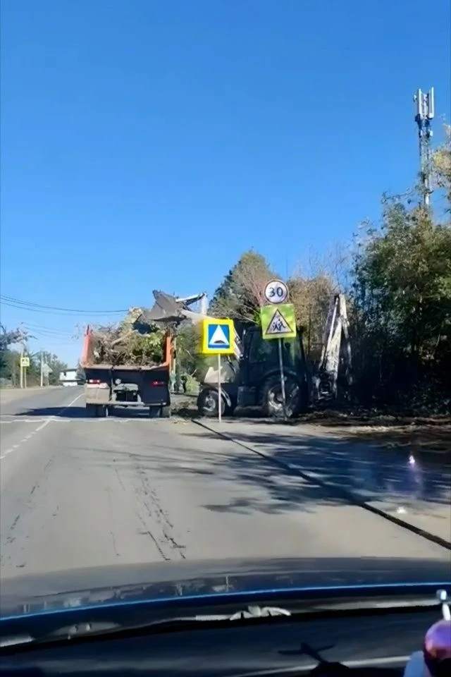 🌿 Вот так выглядит «убрать за собой»
