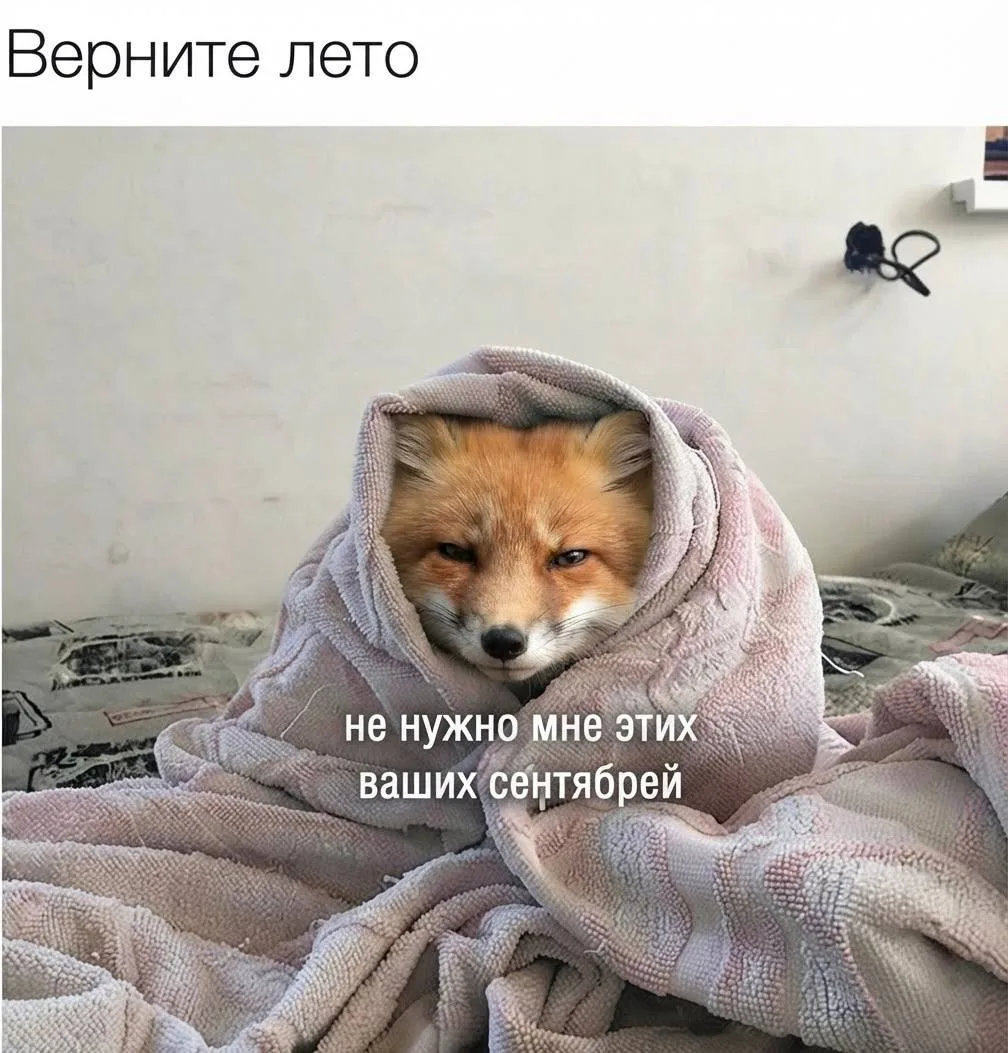 верните лето 🥲