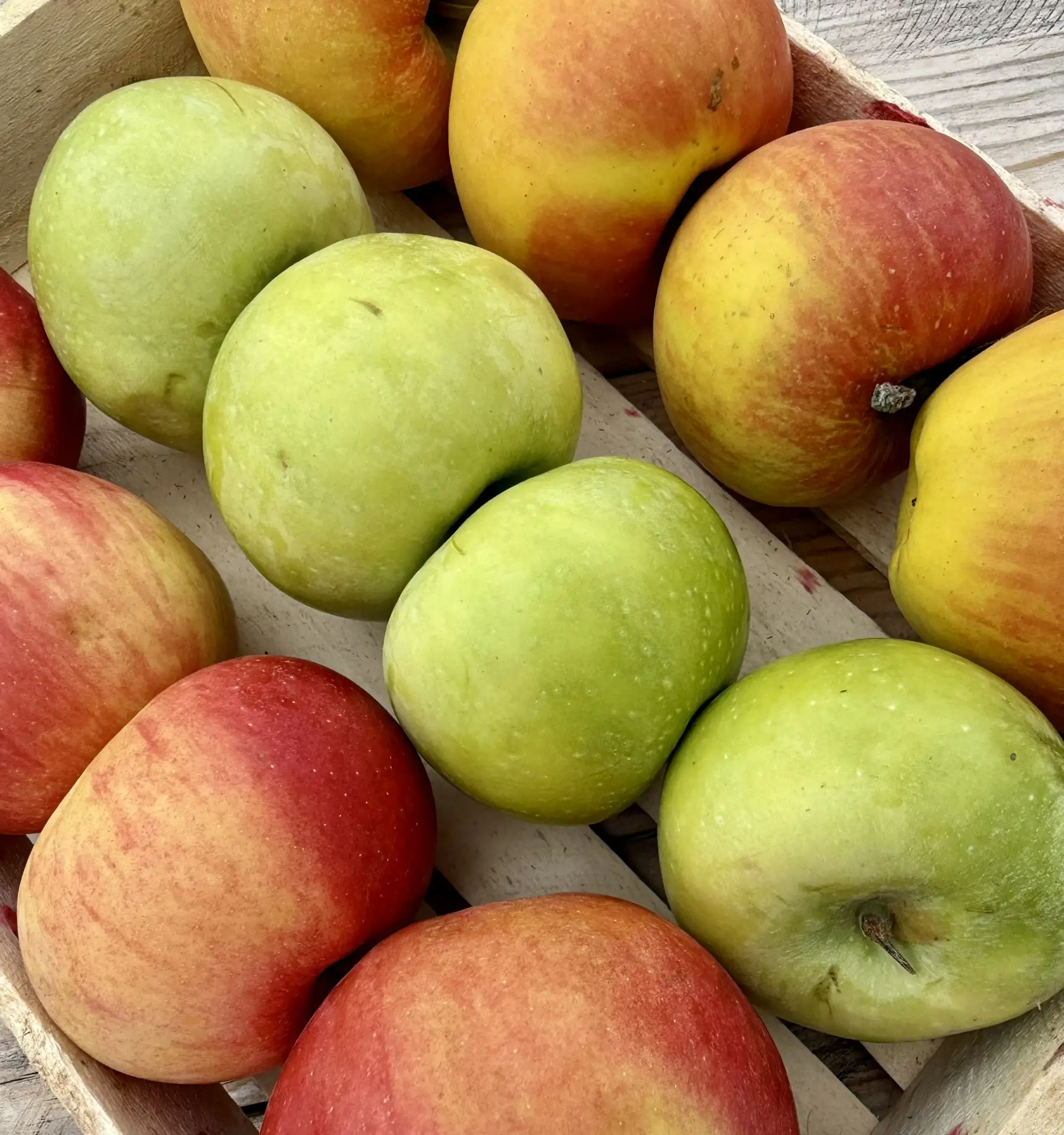 🍏🍎 РАСПРОДАЖА ЯБЛОК 🍎🍏  Распродаем небольшие остатки яблок из Молдавии ♥️  3 вкусных и таких разных 