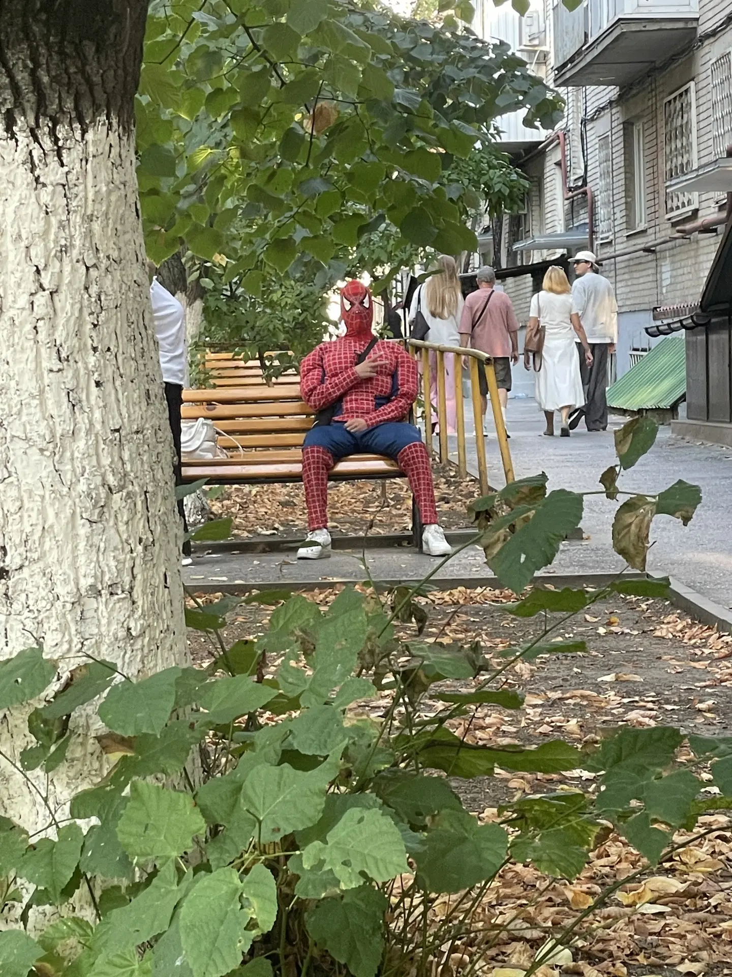 Вот так гуляешь-гуляешь по городу, и вдруг на лавочке напротив…