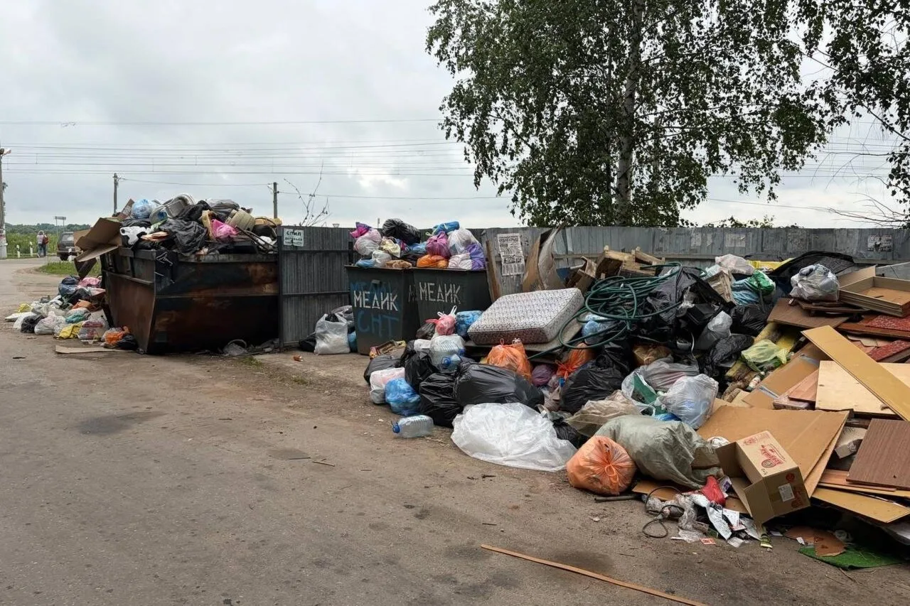 🗑 Рязанцы сфотографировали кучи неубранного мусора в деревне Козловка (Рыбновский округ) — куча на 
