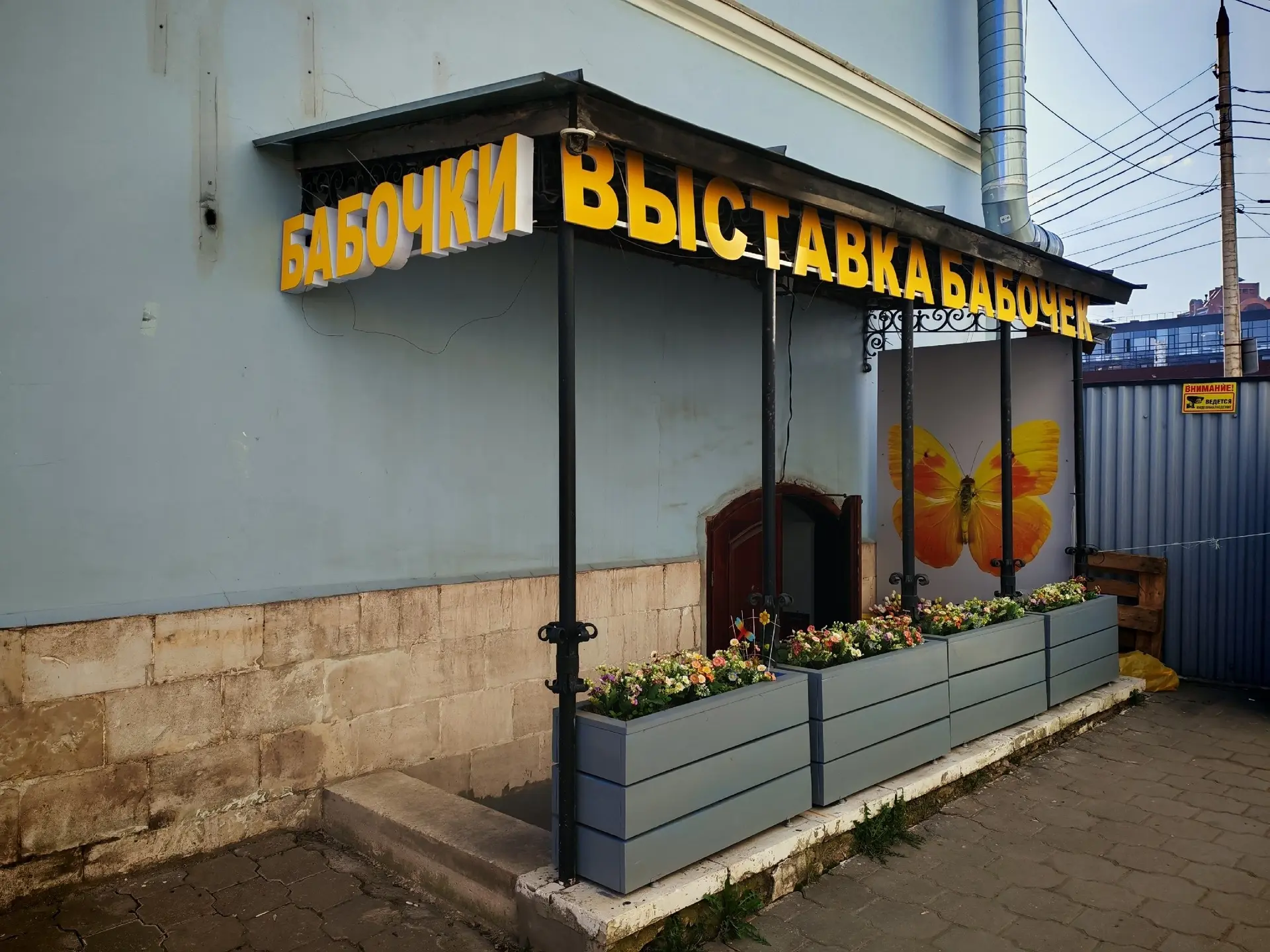 🦋 Выставка тропических бабочек в Туле