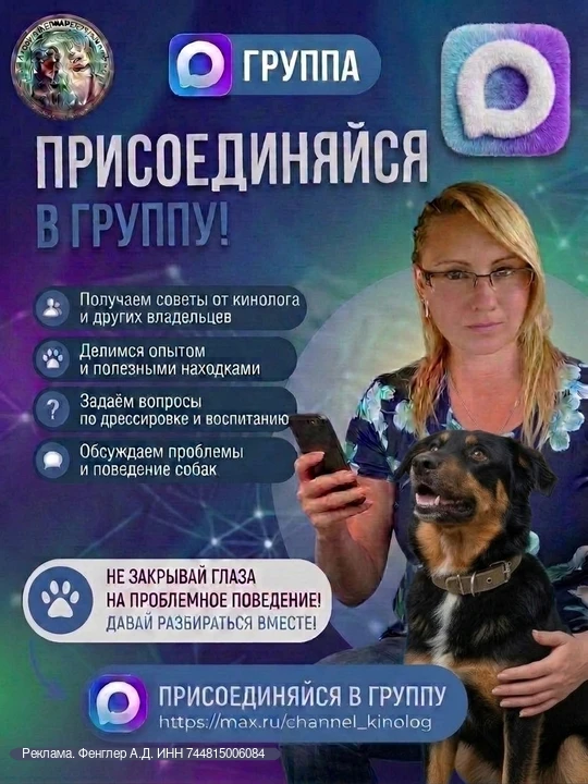 Изображение 1 к публикации «Собаки 🐶»