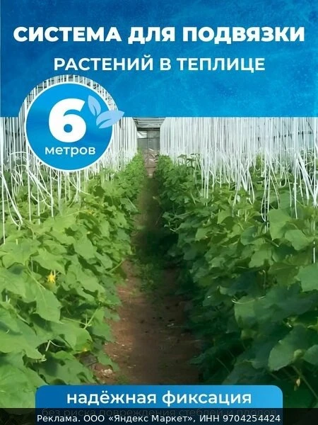 🌿Система для подвязки растений в теплице 6м