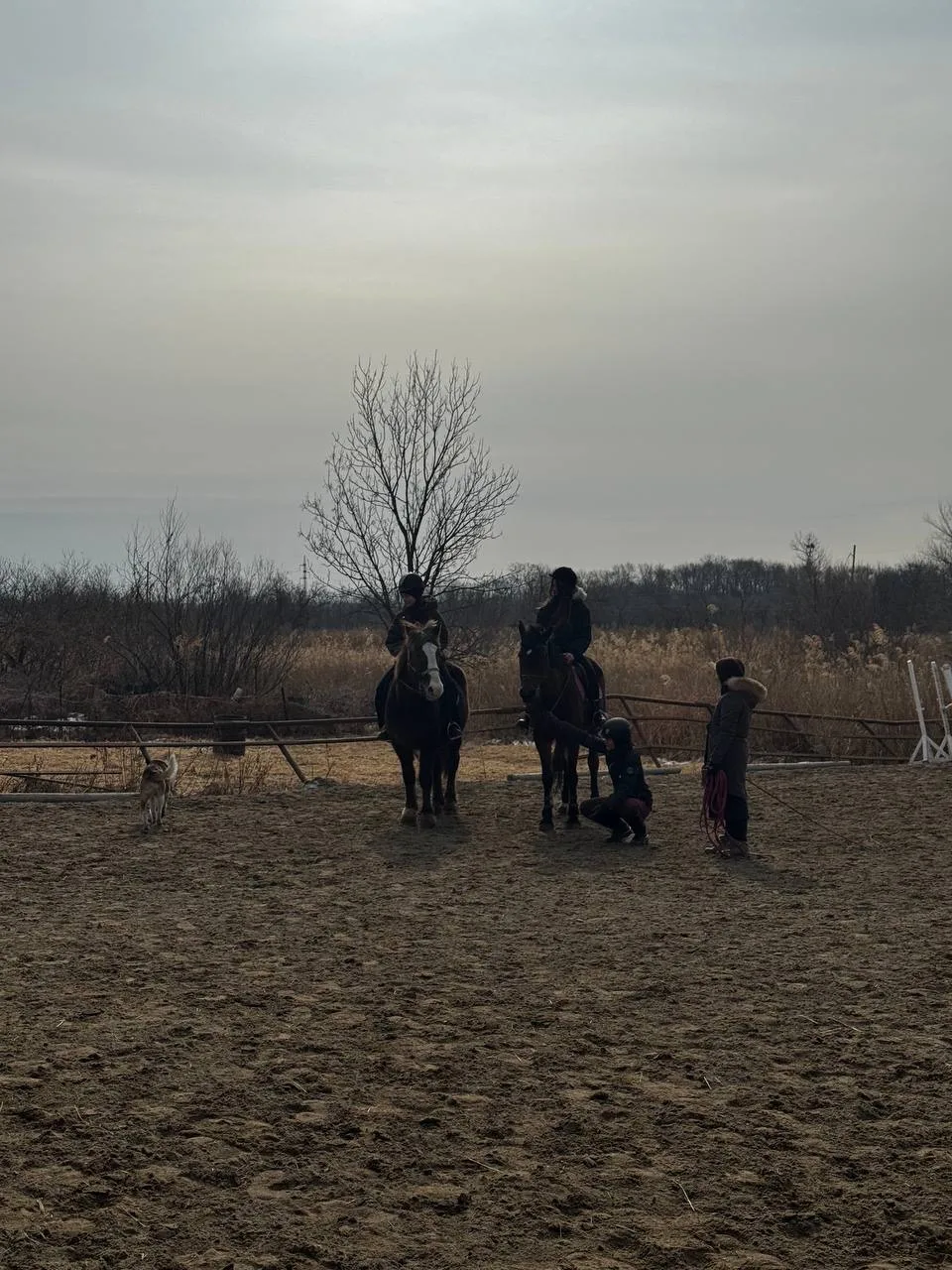 🐎Наши восьмиклассники из Курчатовского 8В класса не просто учатся, а по-настоящему погружаются в мир