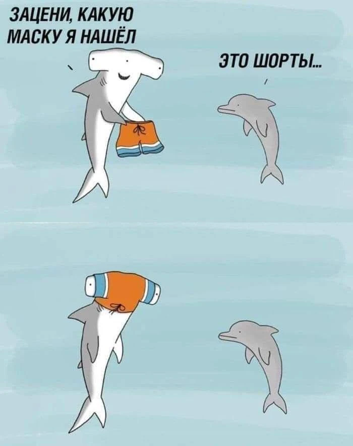 Новый ракурс