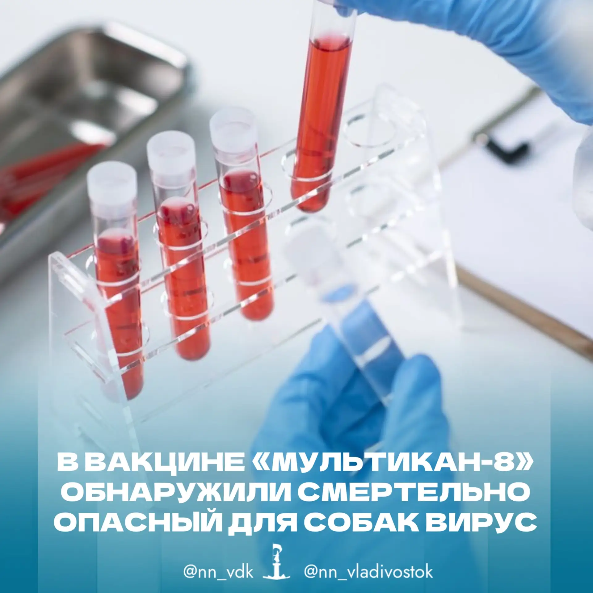 ‼️ В вакцине «Мультикан-8» обнаружили смертельно опасный для собак вирус.