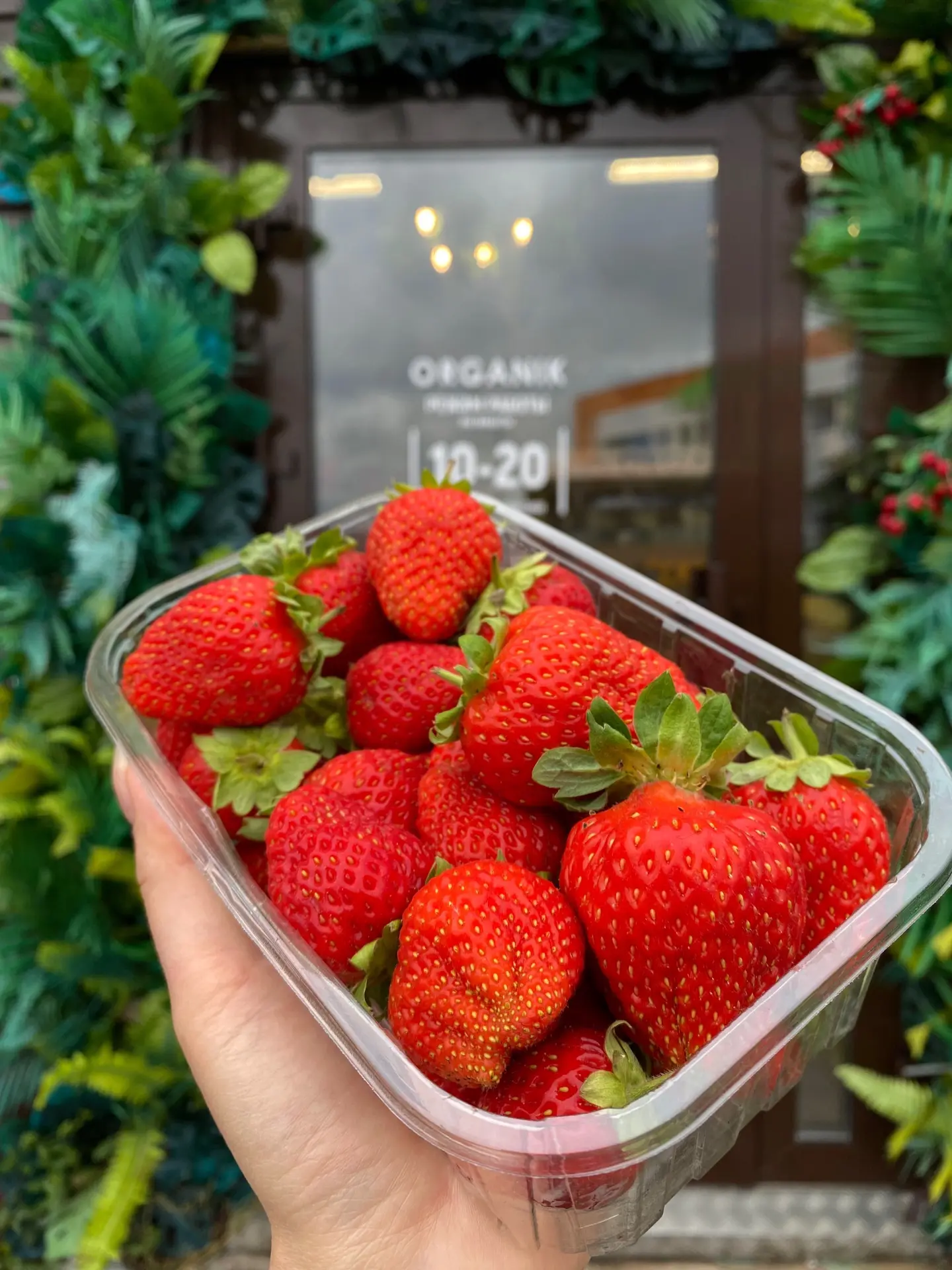🍓Клубника 500₽/уп