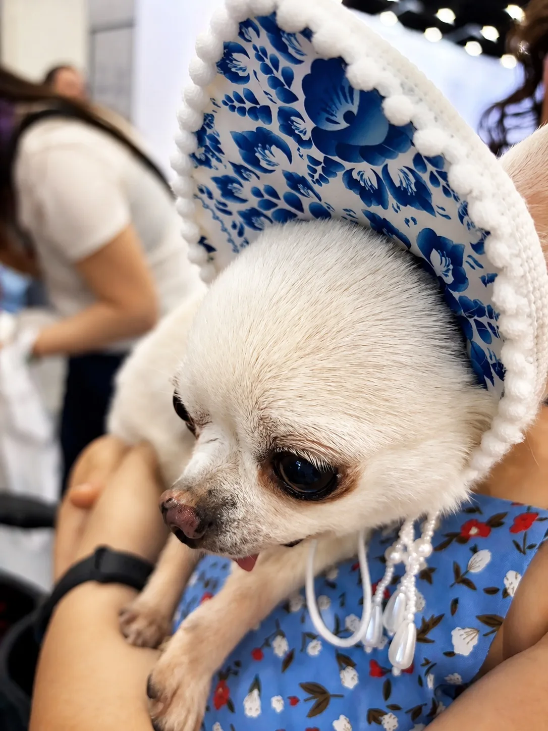 🐕 Сегодня наша команда Pet’s Health — на выставке «Город собак» в Санкт-Петербурге!

Знакомимся с х