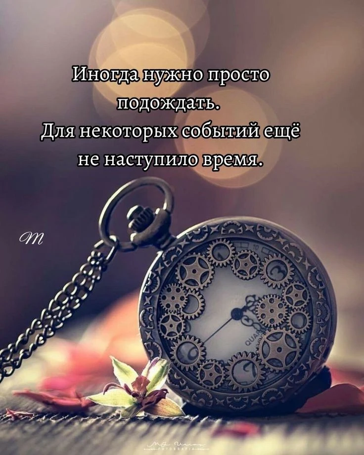 Некоторые события, некоторые мечты, некоторые цели требуют времени. Время для созревани...