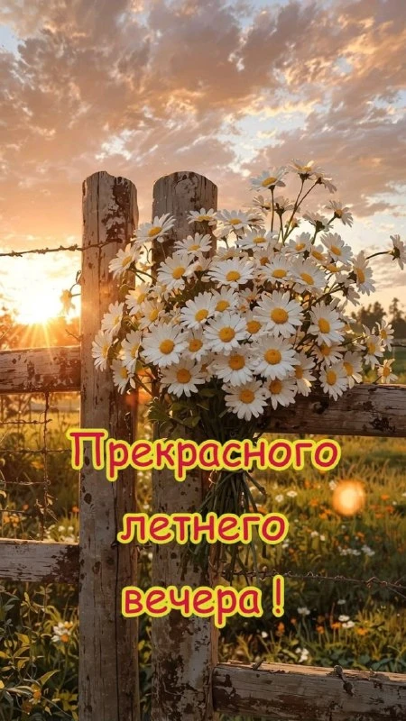 🌹Открытки для любимых