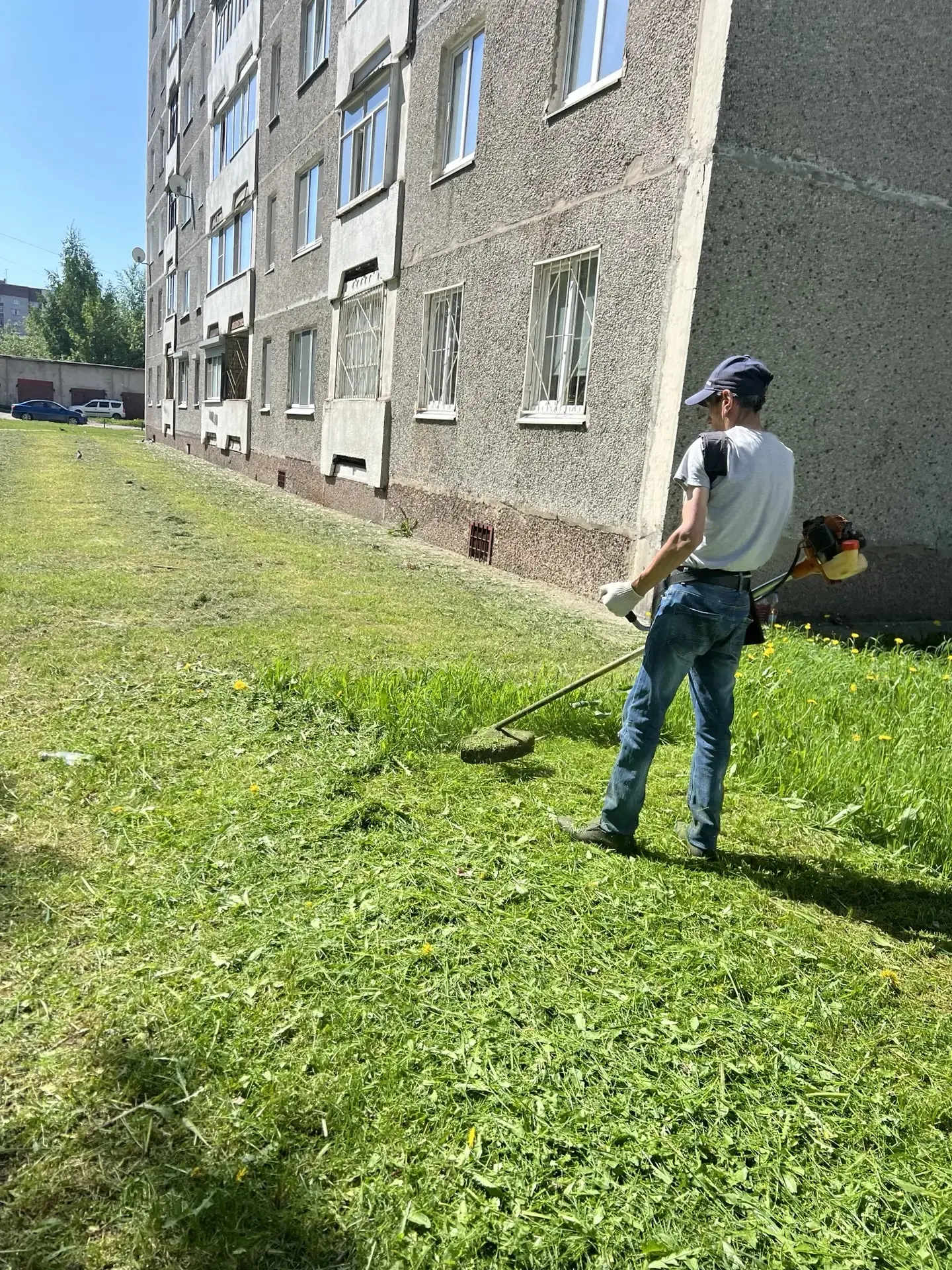 Жужжим вовсю! 🐝✂️