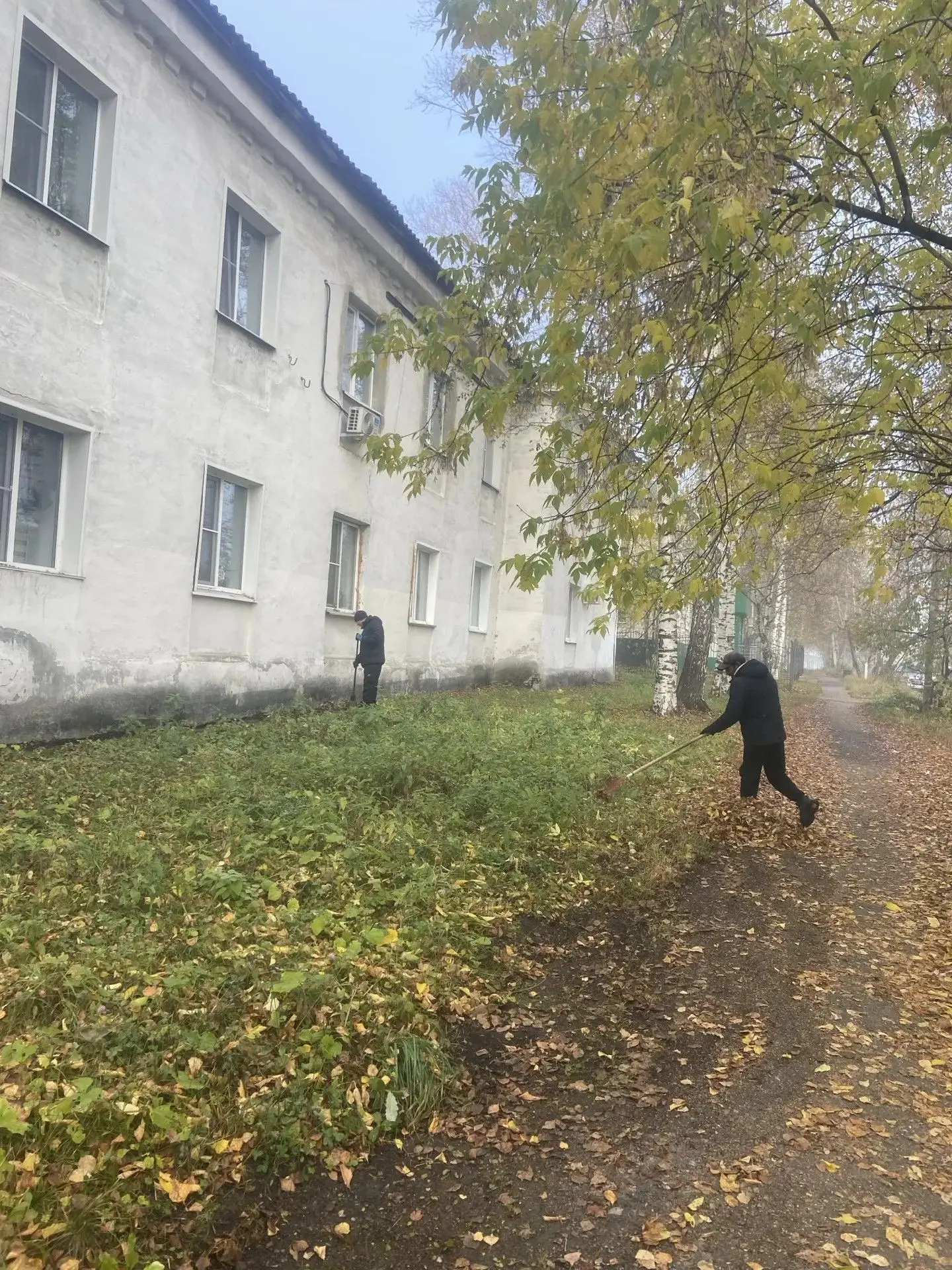 ул. Топкинская, 20, уборка придомовой территории от листвы