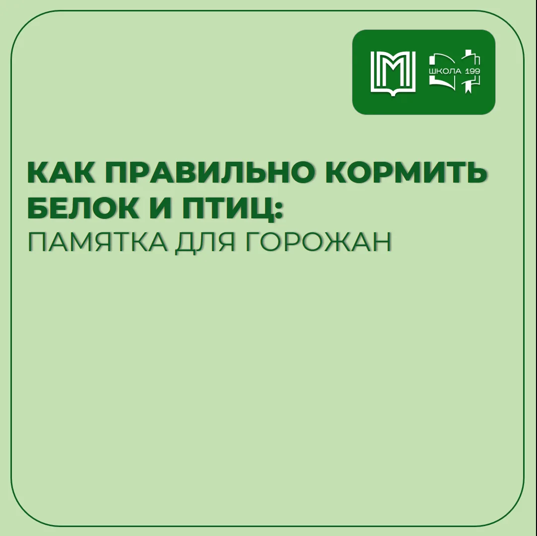 Как правильно кормить белок и птиц? 🐿️ 

☀️Летом городские парки полны жизни. Всем хочется порадова