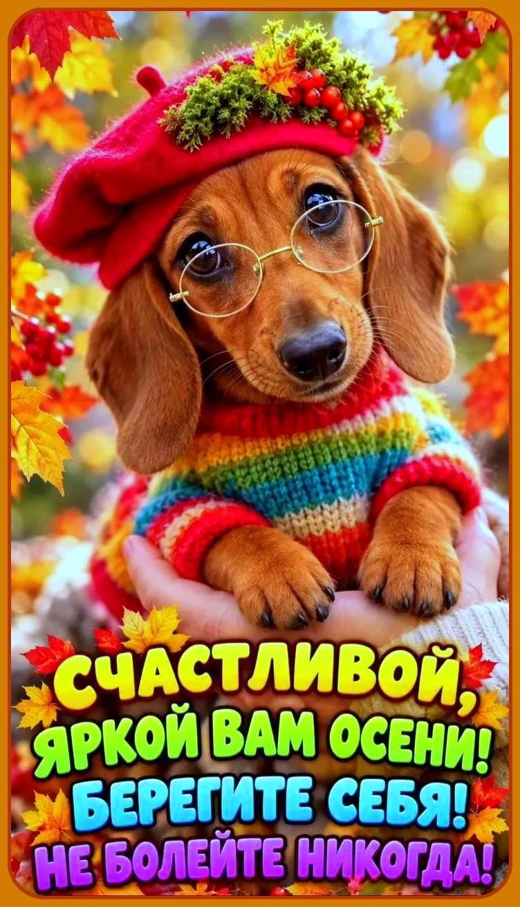 Милые открытки 😊 подписаться