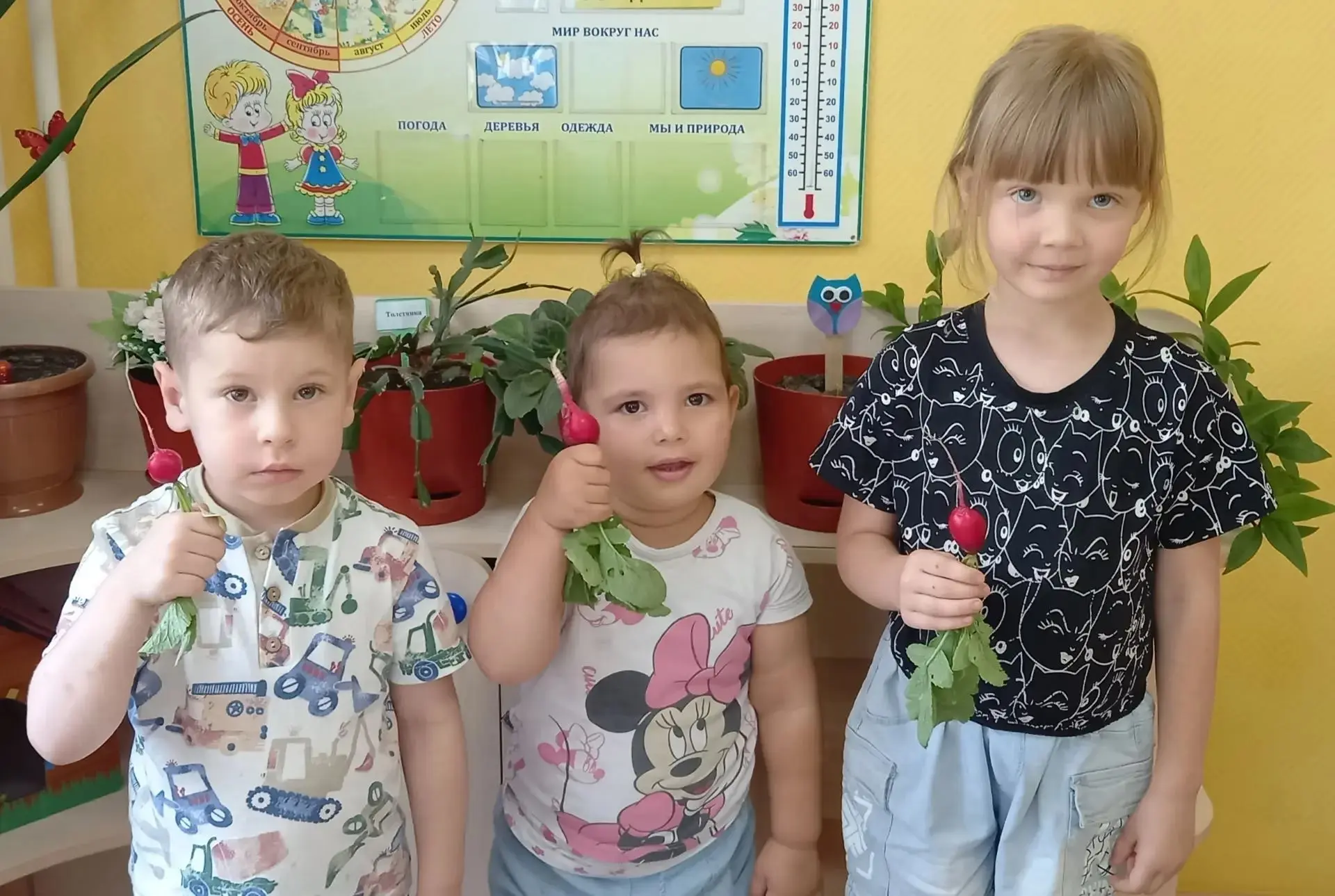 Наш первый урожай!
Зелёная причёска и красная рубашка,
Выросла на грядке круглая милашка,
Вырвем и п