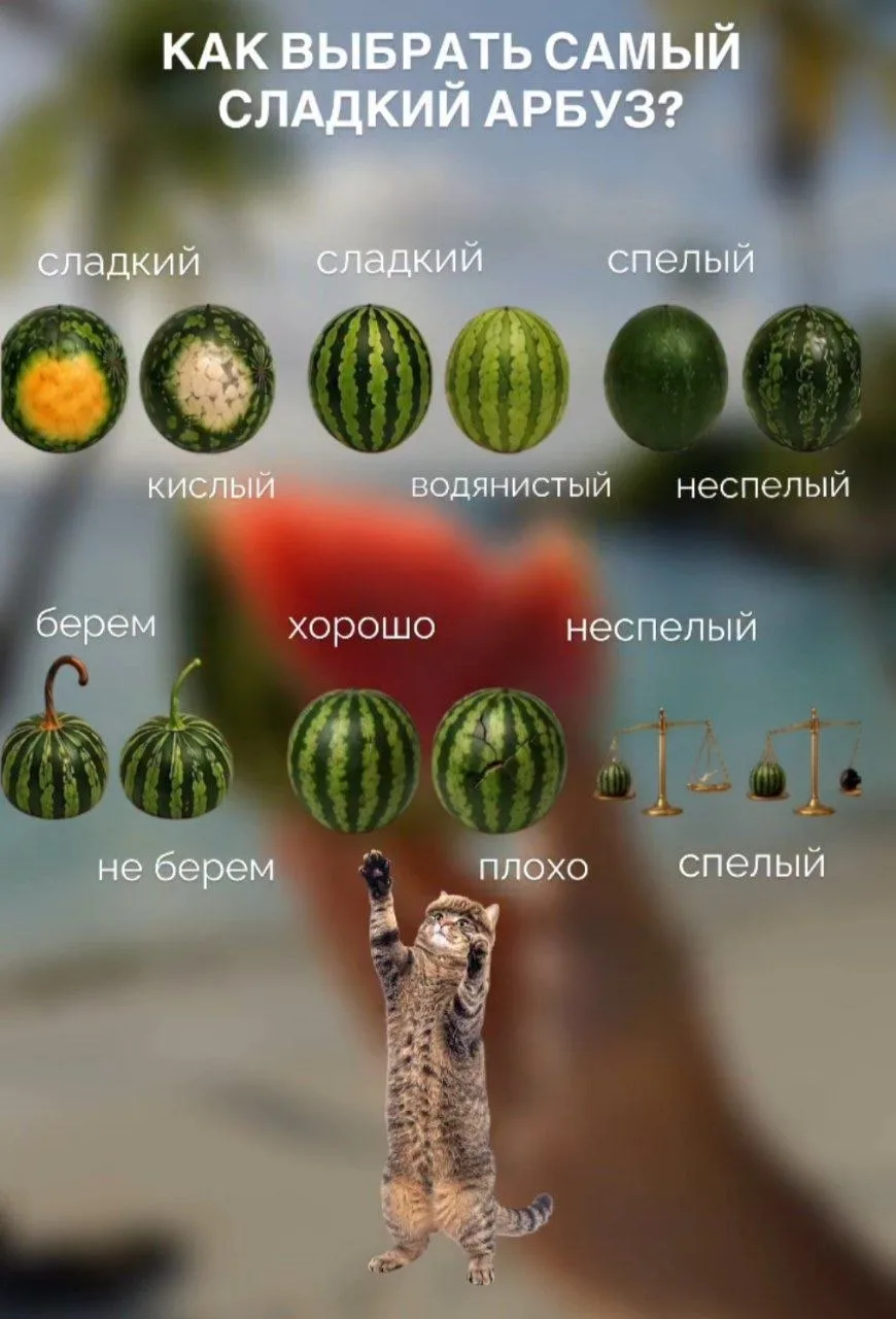 Шпаргалка для выбора самого сладкого арбуза найдена в сети. Да, не обязательно колотить...