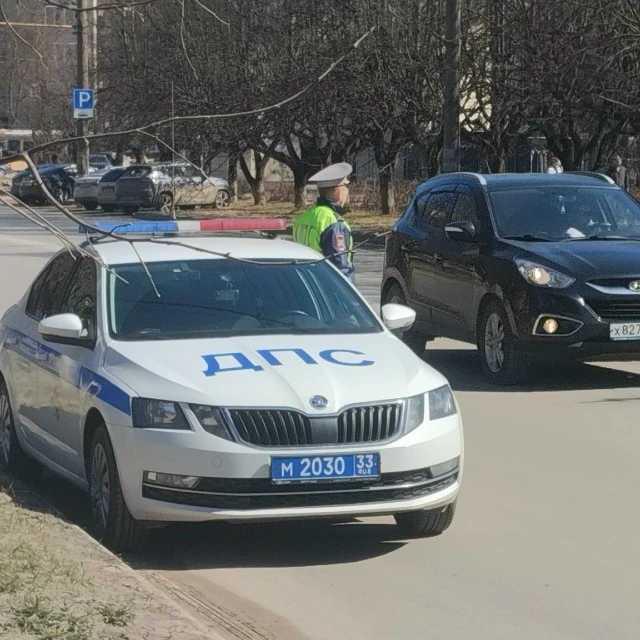 ГАИ начали тормозить машины за непристёгнутых пассажиров на заднем сиденье: кто должен ...