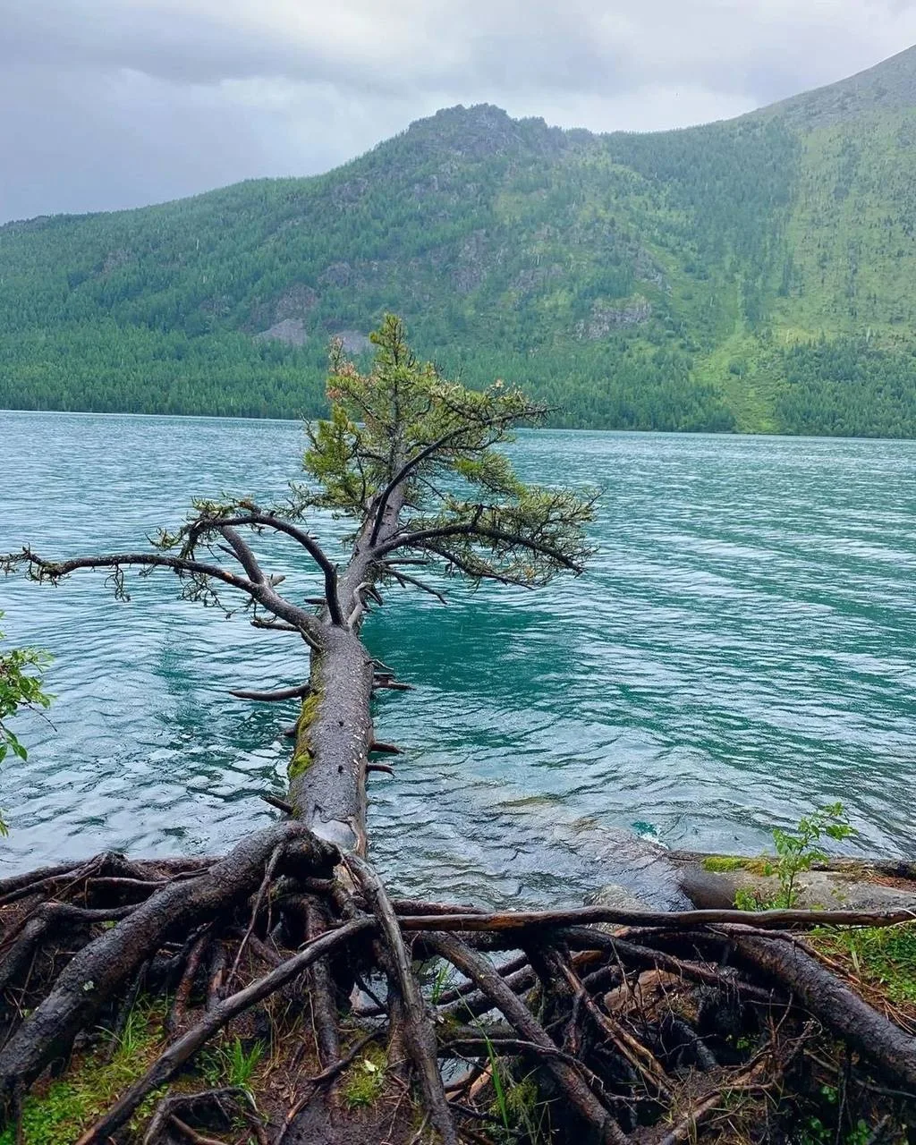 Мультинские озёра, Усть-Коксинский район😍