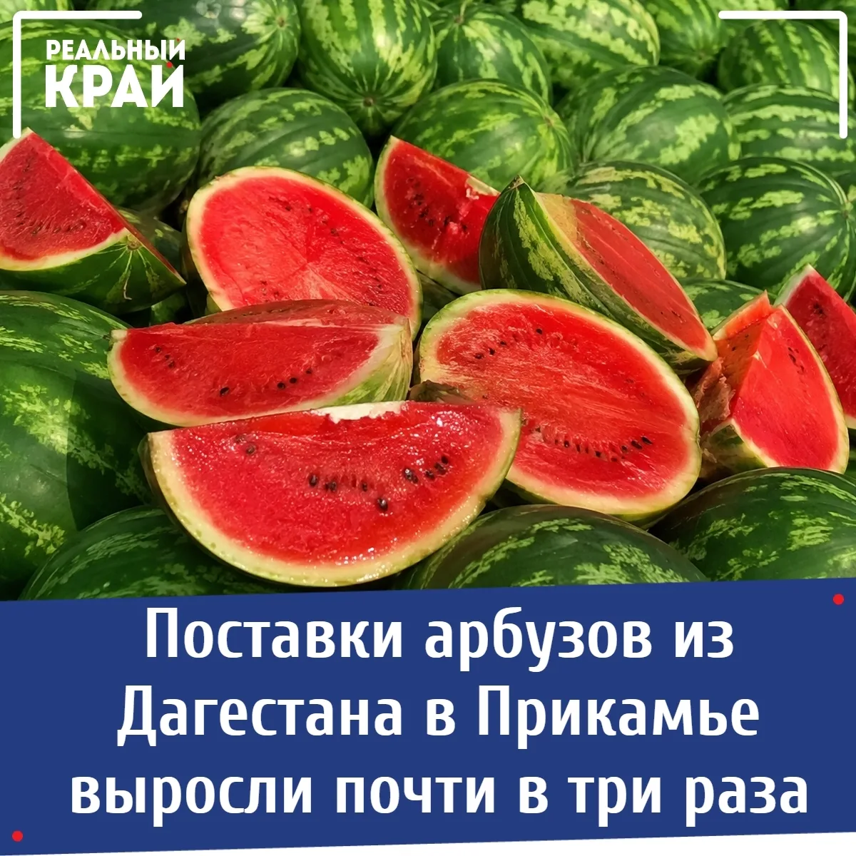 Поставки арбузов из Дагестана в Прикамье выросли почти в три раза 
⠀ 
С начала текущего года в Пермс