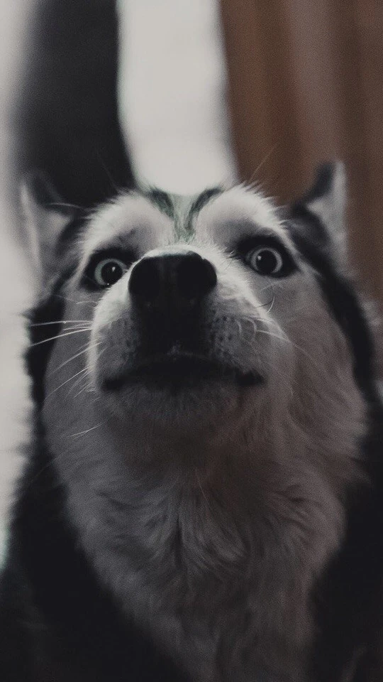 ⠀⠀⠀⠀⠀⠀⠀⠀⠀