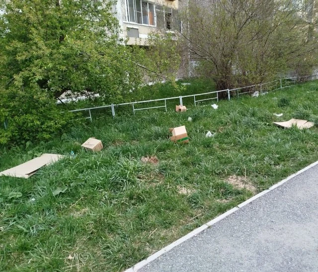 На Бульваре Юности, 20, 22, 15, раздуло весь мусор из мусорных контейнеров. Получилась одна большая 