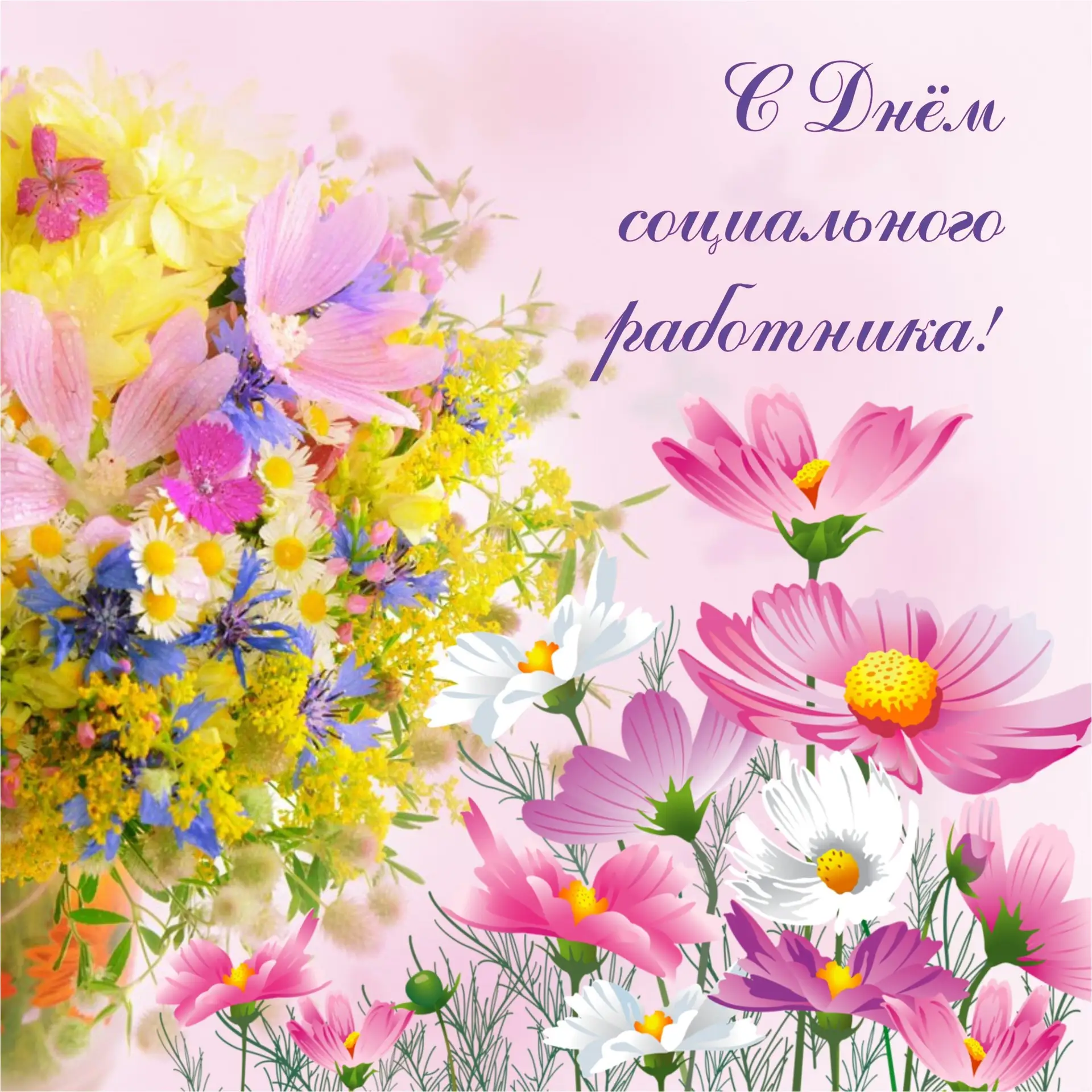 #ЦСПСДМР